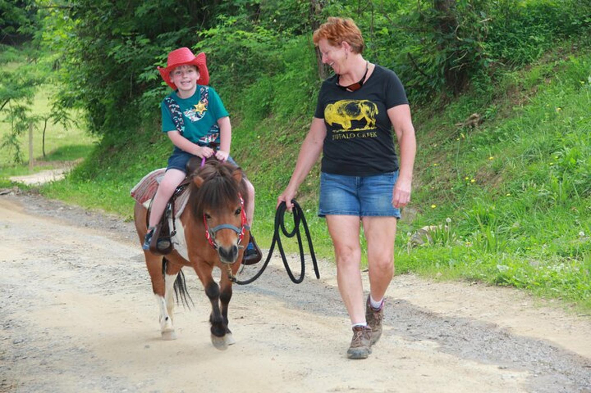 Smoky Mountains Mini Horse Ride for Children
