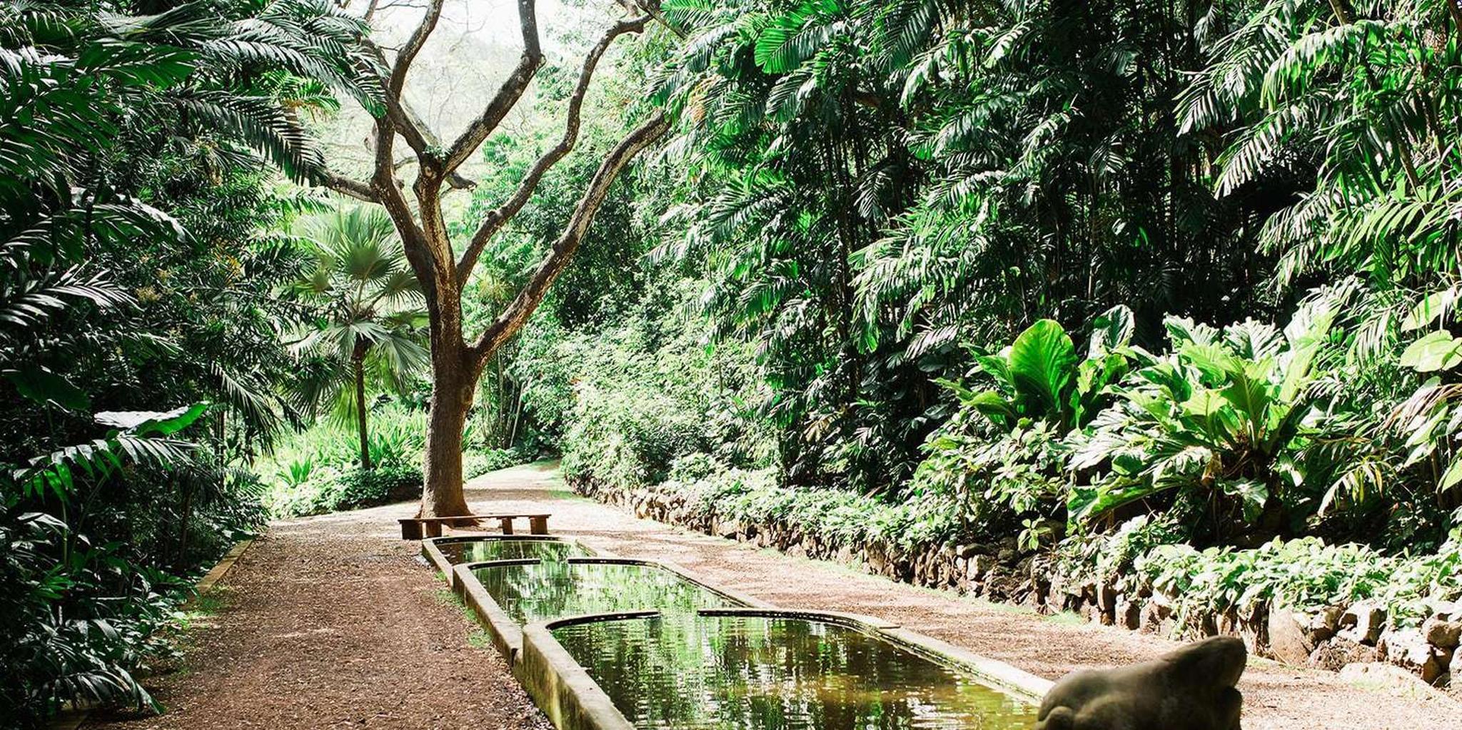 Kauai Allerton Garden Guided Walking Tour 2.5 hr - Image 2