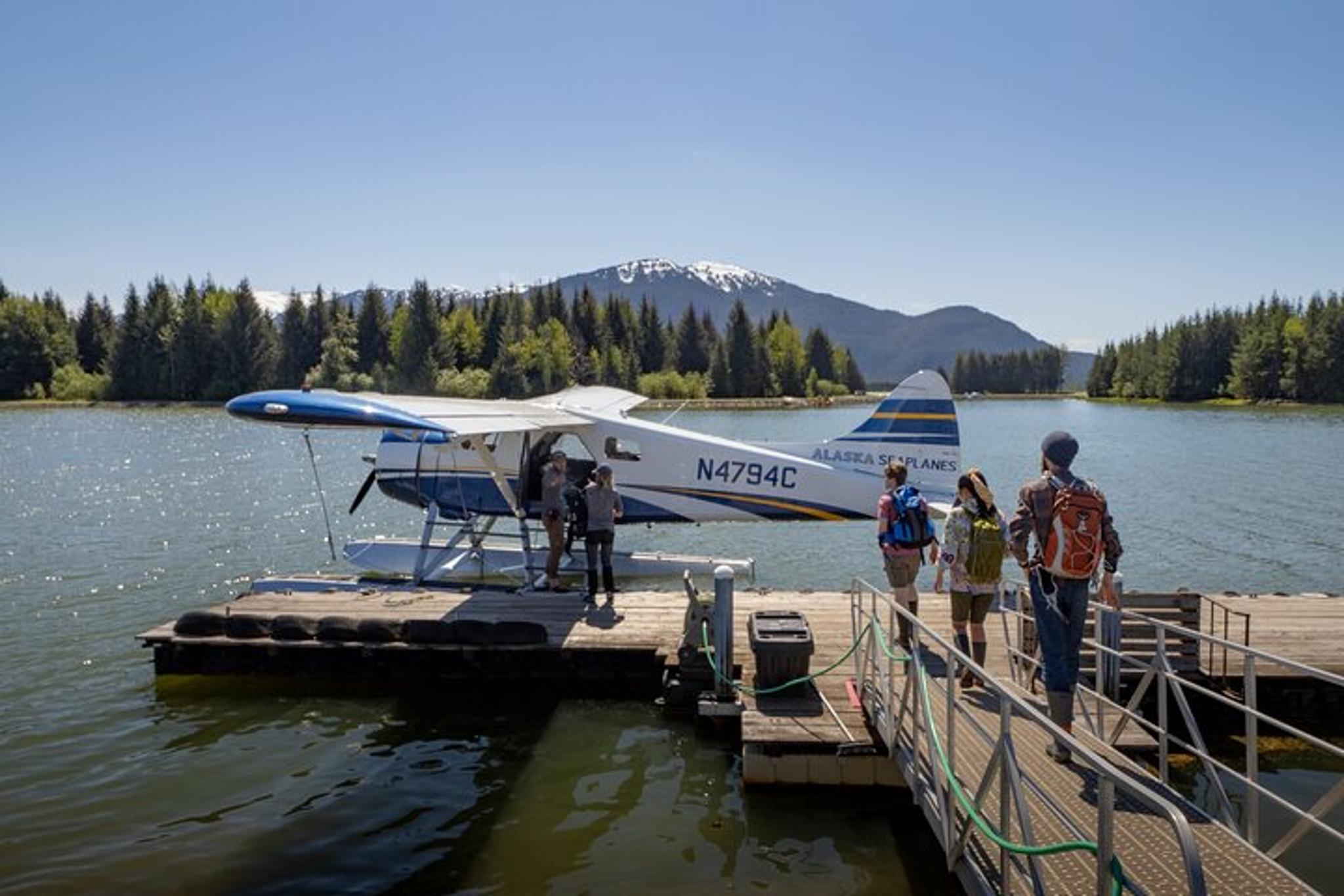 Juneau Brown Bear Viewing Adventure - Image 1