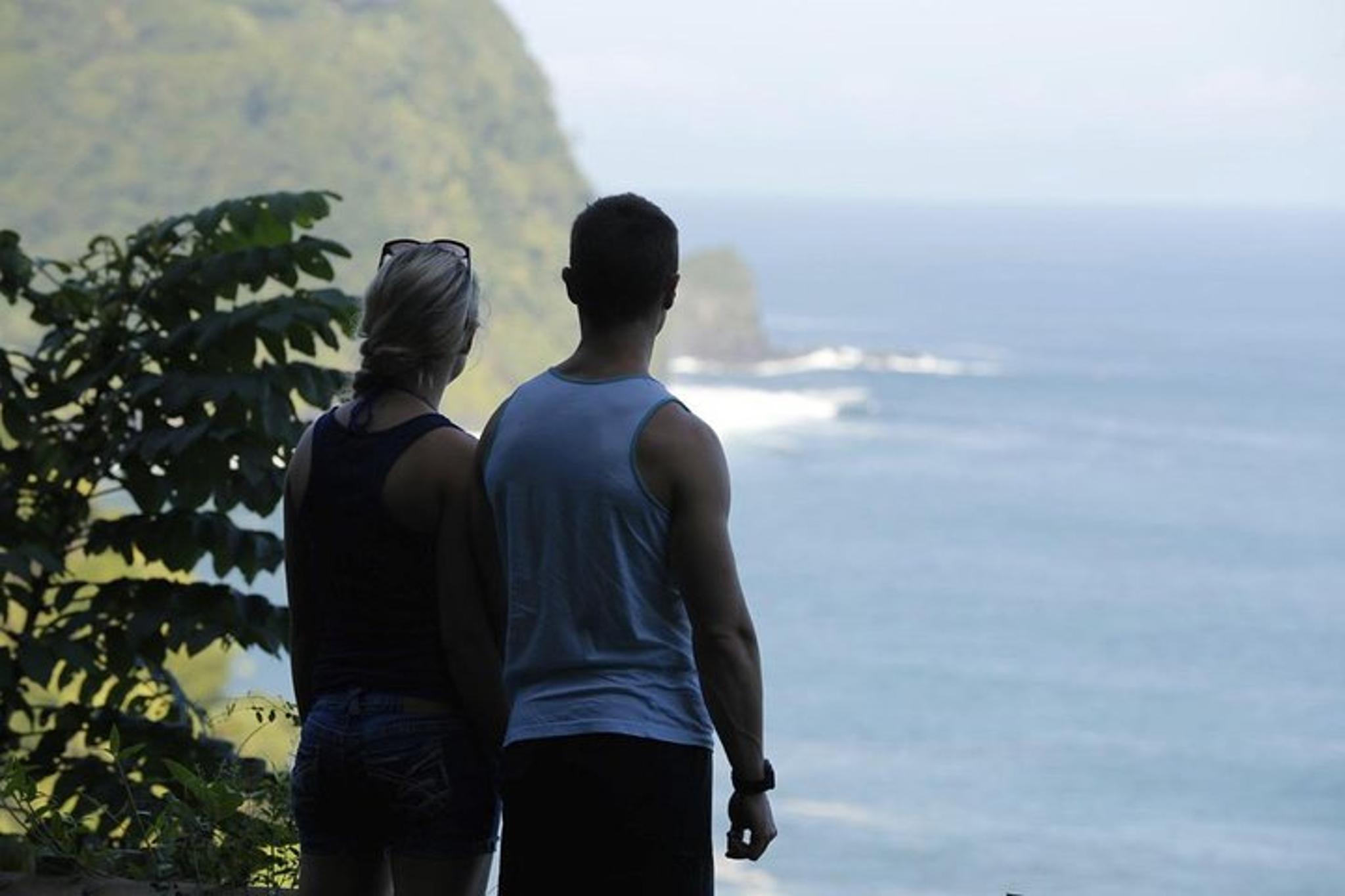 Maui Waterfall and Rainforest Adventure - Image 5