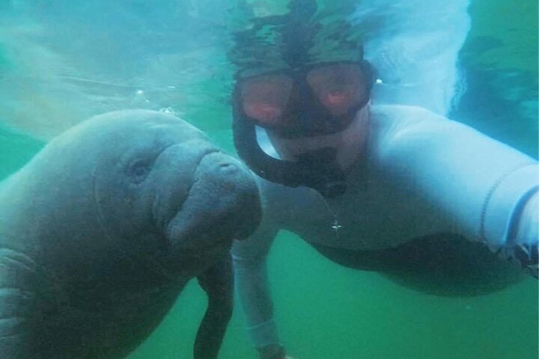 Crystal River Manatee Swim Tour 3 hr - Image 4