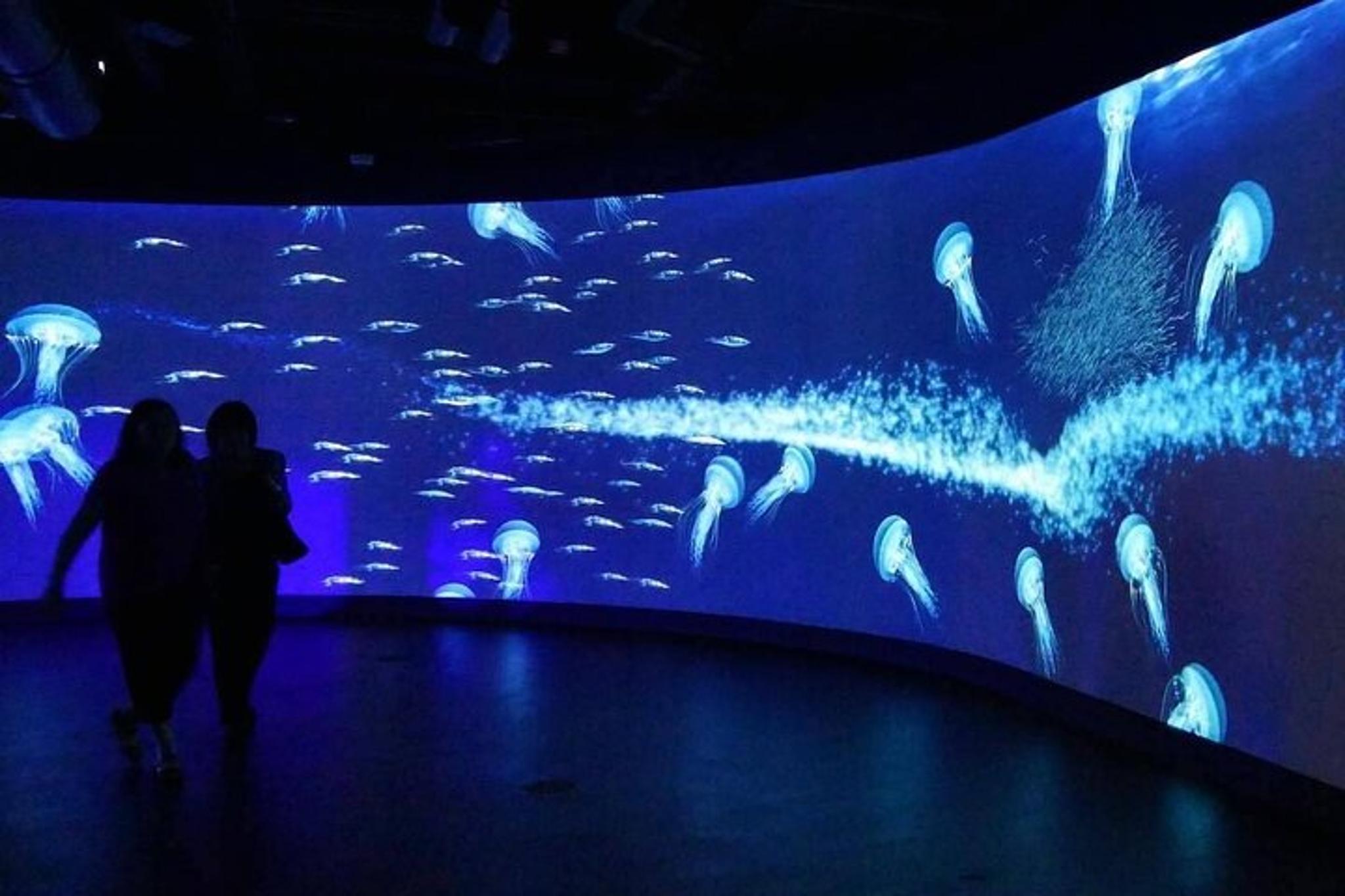 Miami City Tour with Museum Visits - Image 2