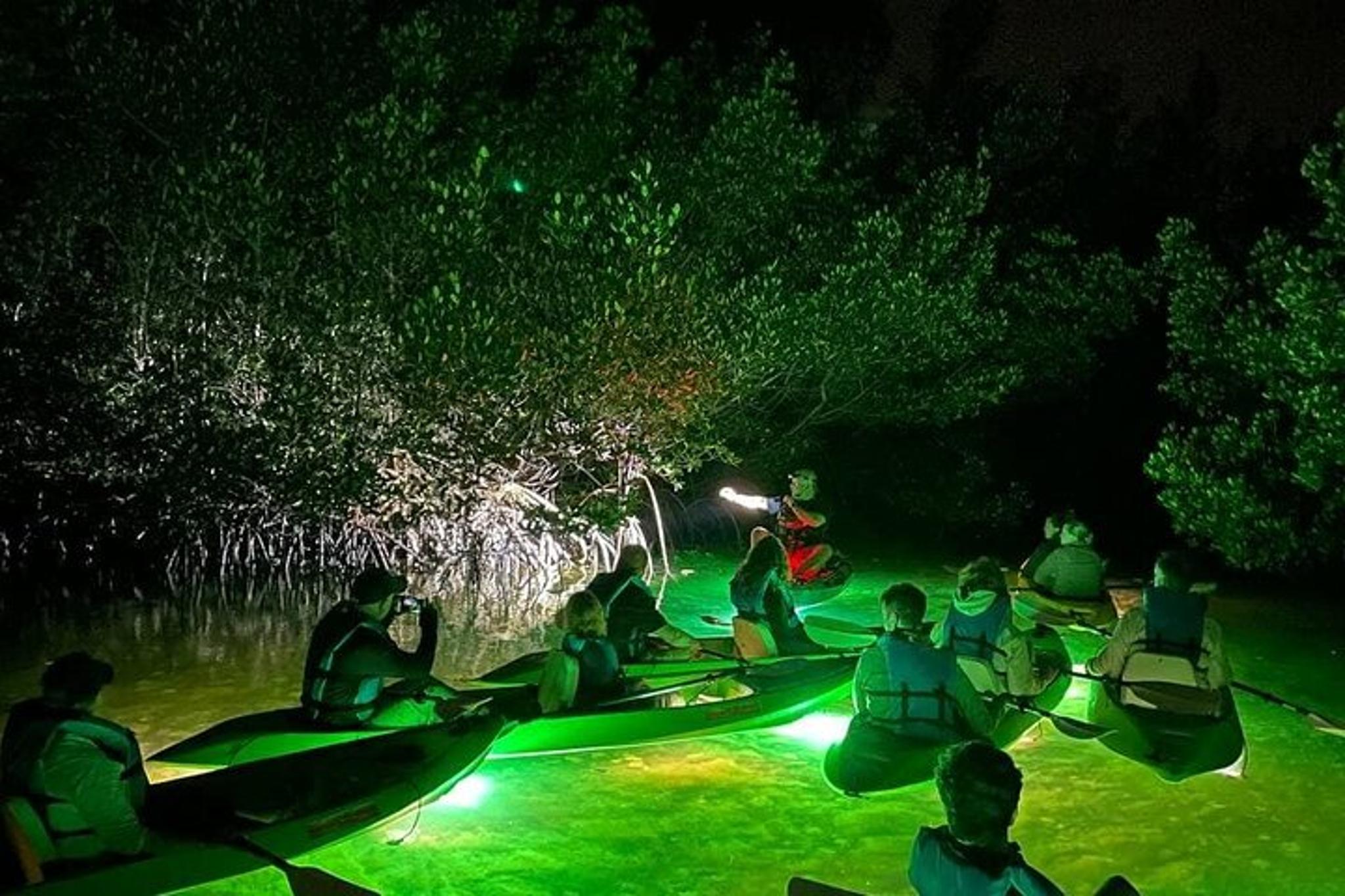 Sarasota Glass Bottom Kayak LED Night Tour - Image 2