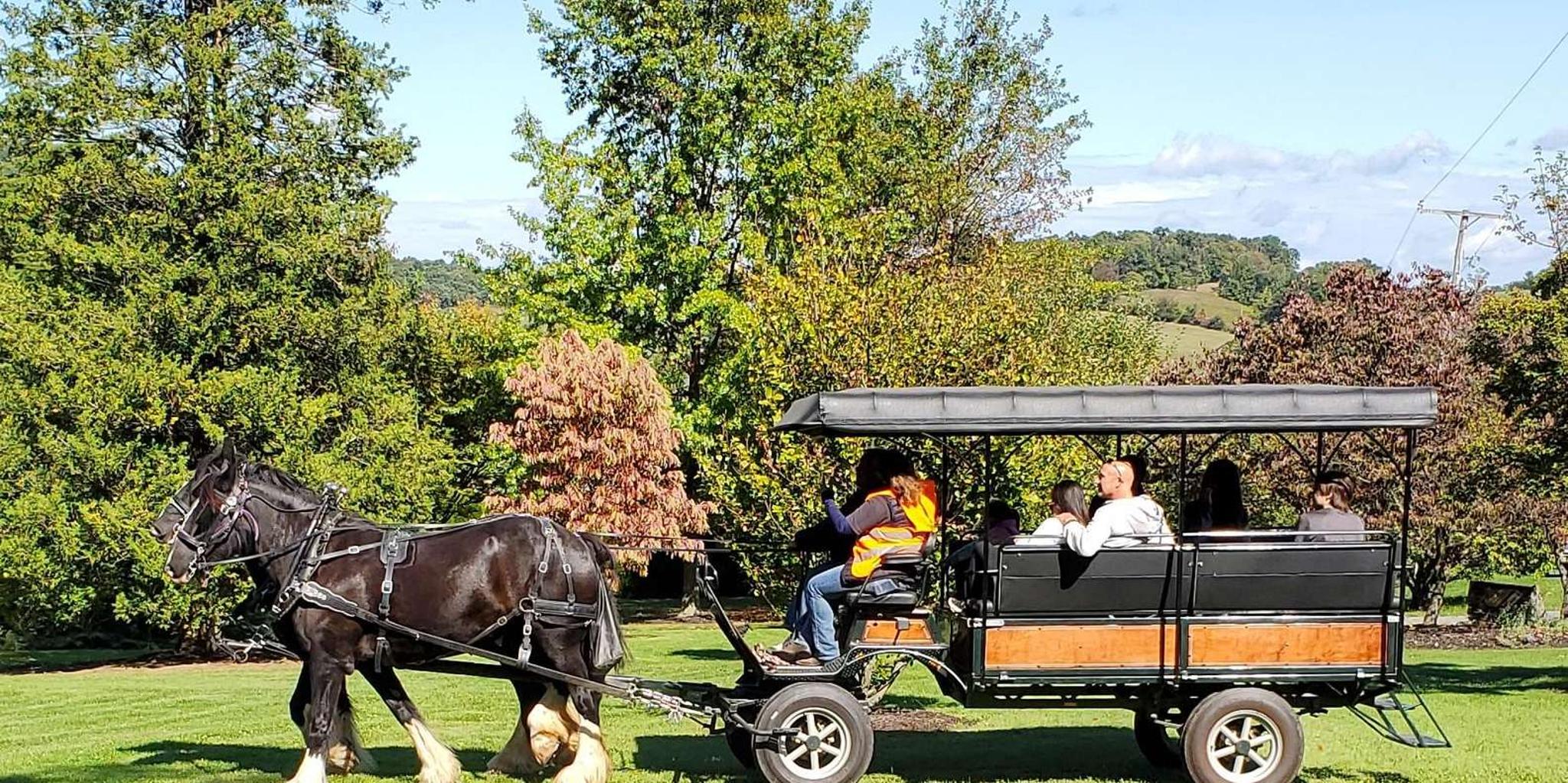 Gettysburg Horse-Drawn Carriage Tour Countryside - Image 4