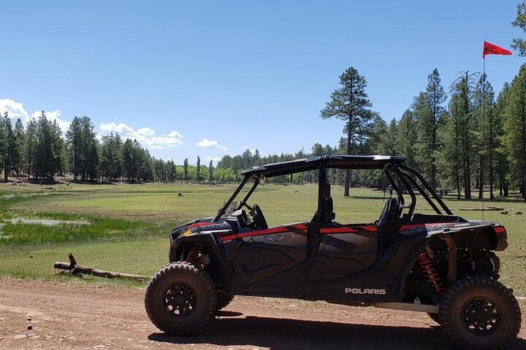 Flagstaff UTV Adventure in Northern Arizona - Image 6