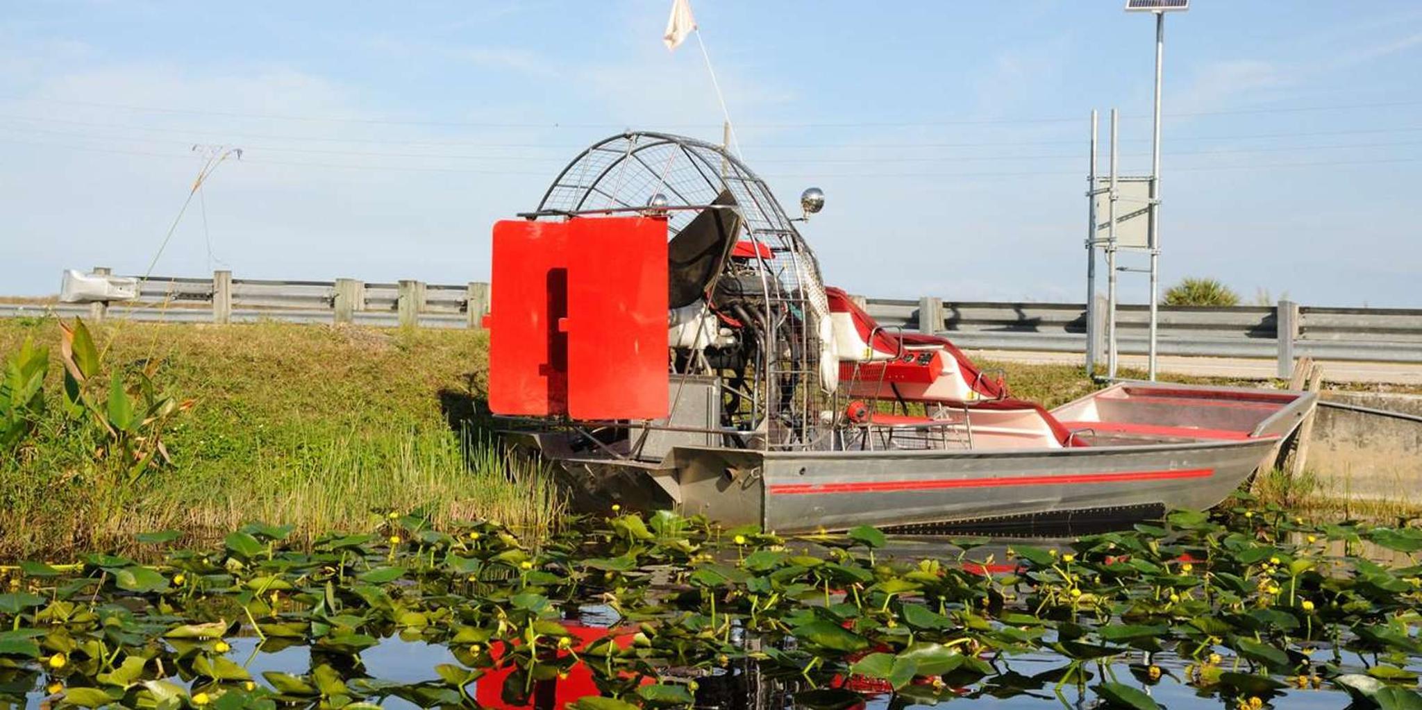 Miami Everglades Airboat Tour with Park Entry - Image 5
