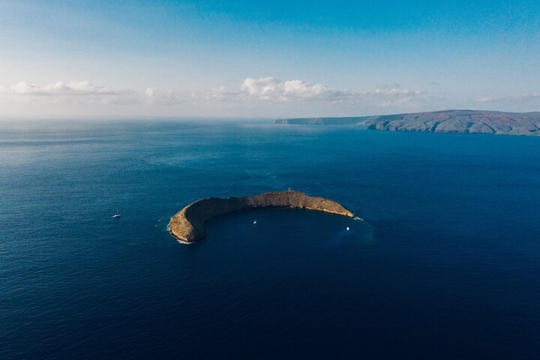 Kihei Snorkeling Adventure at Molokini Crater - Image 3