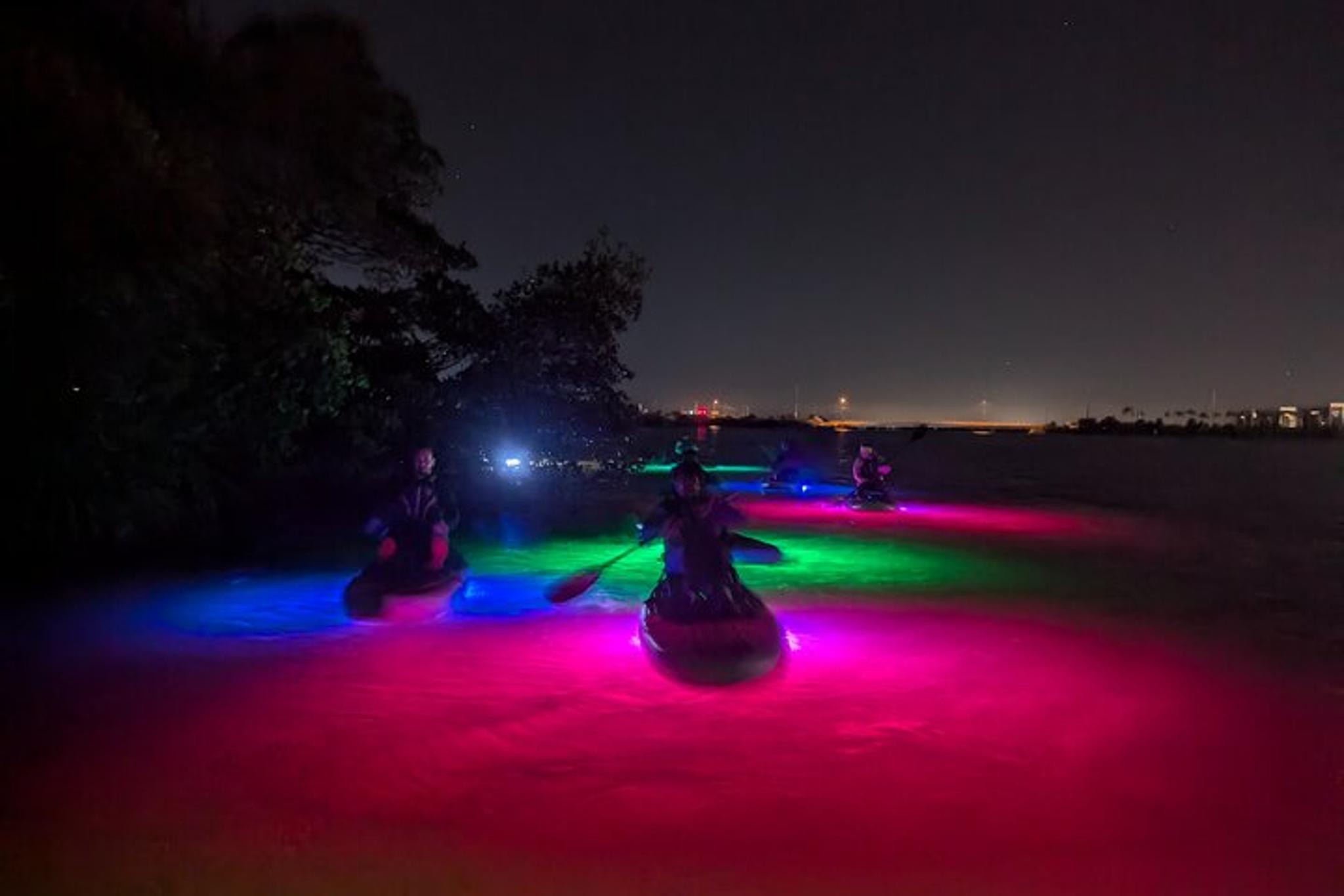 Indian River Bioluminescent Kayak Tour
