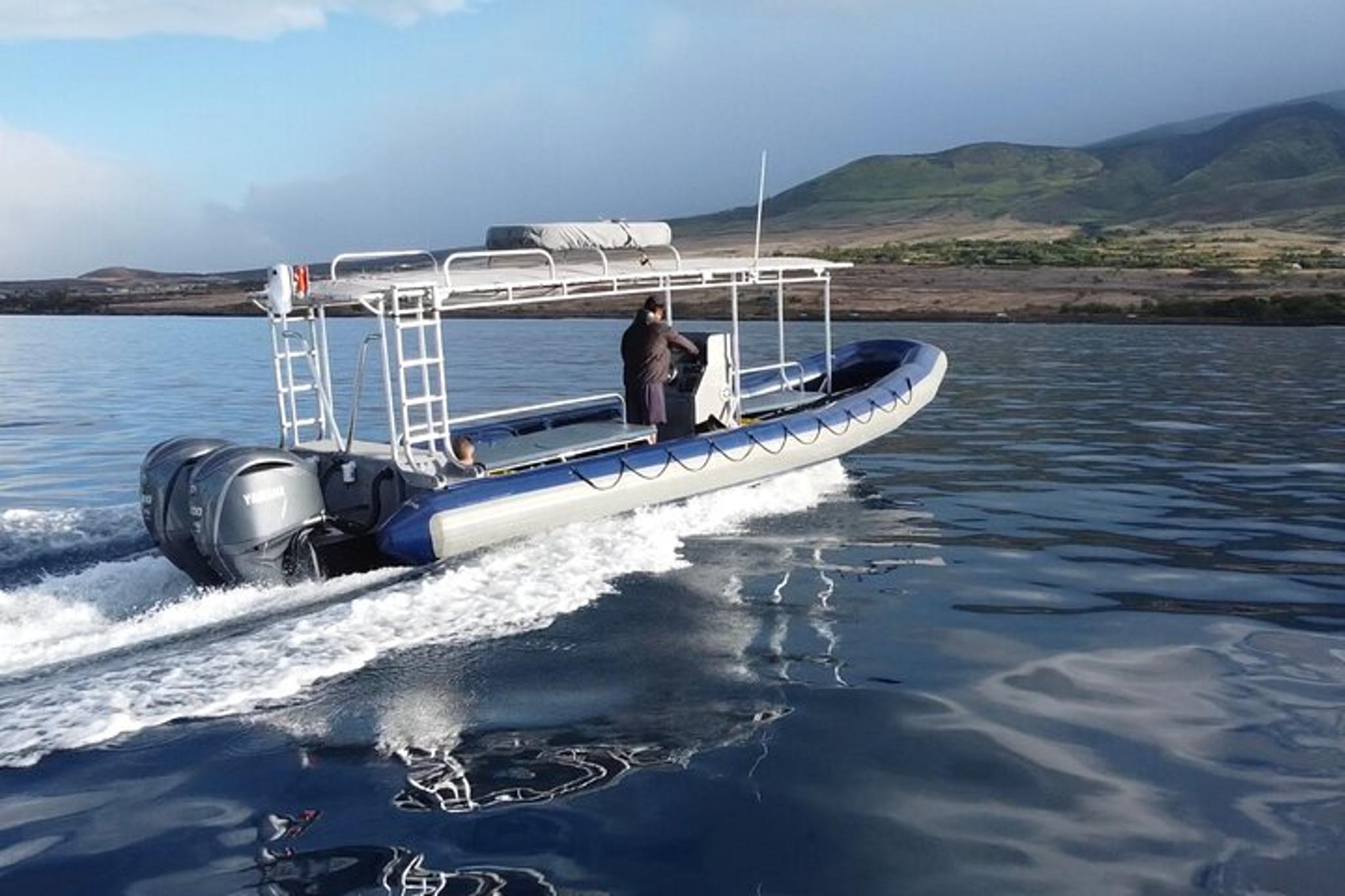 Kaanapali Beach Whale Watching Tour - Image 6