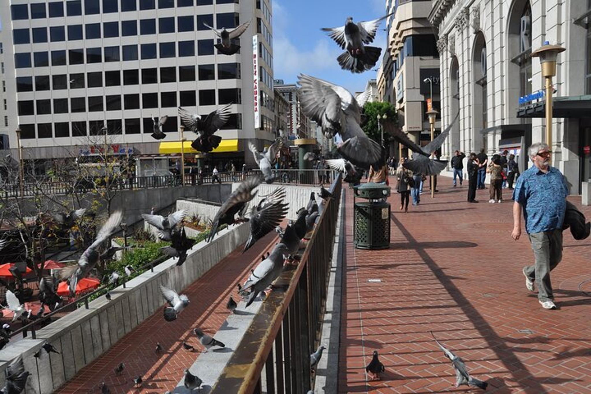 San Francisco Art Photography Class - Image 2