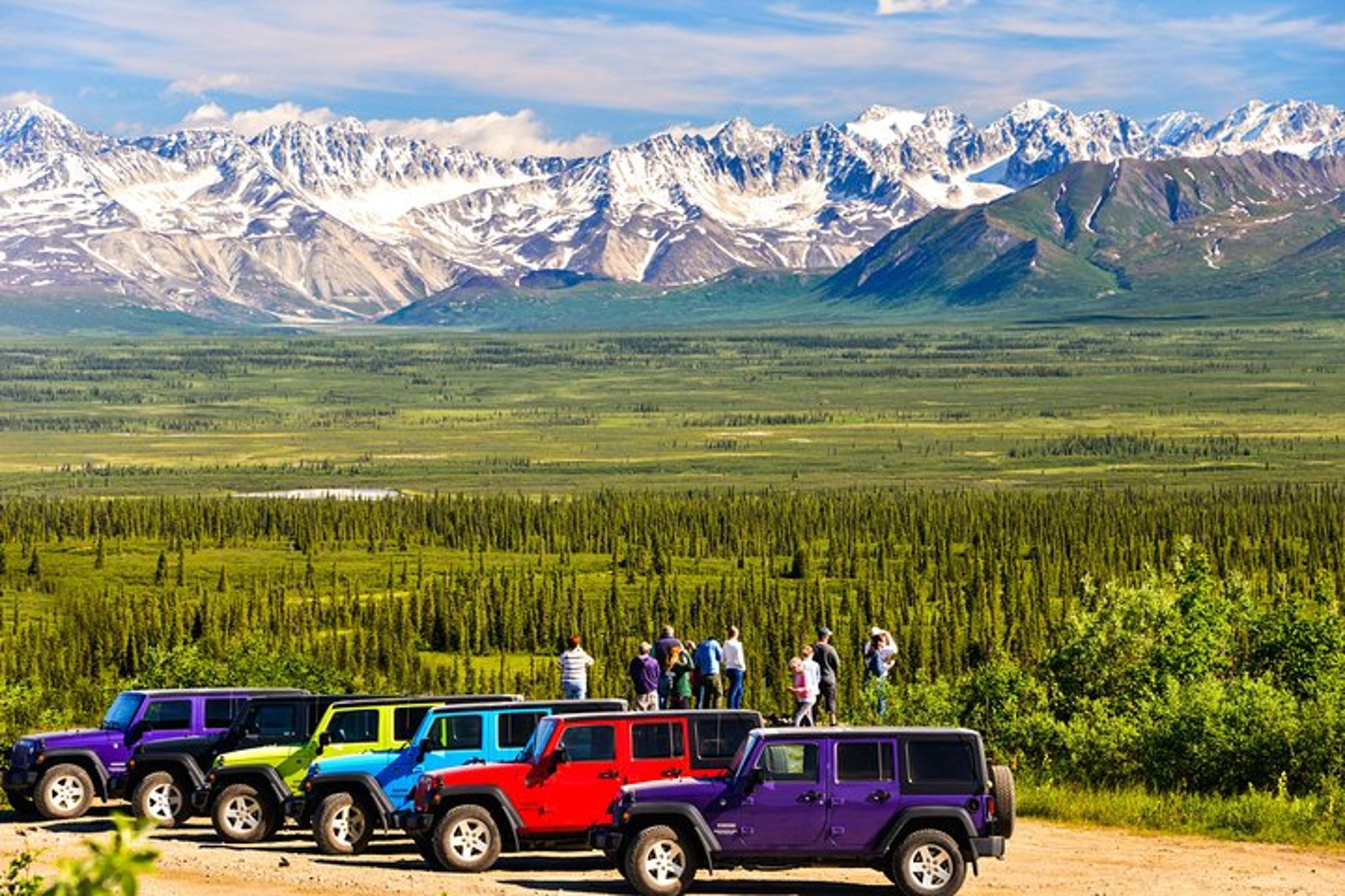 Denali Jeep Excursion - Image 5