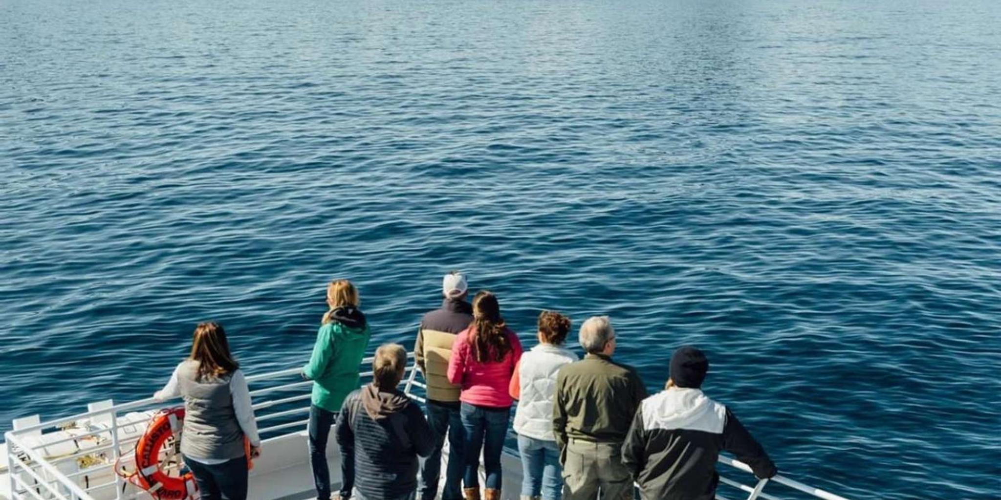 Seward Kenai Fjords National Park Cruise 7 hr - Image 6