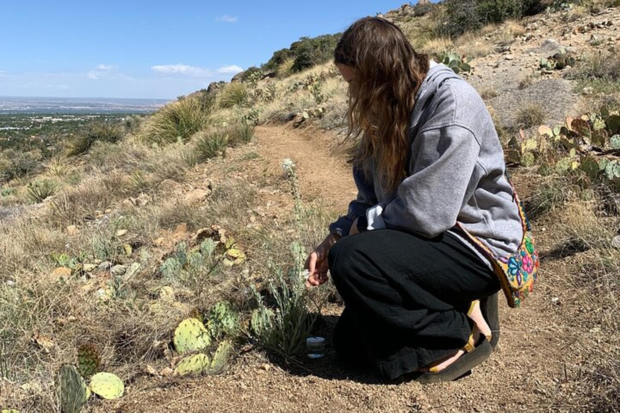 Albuquerque Flower Essence Creation Workshop - Image 3