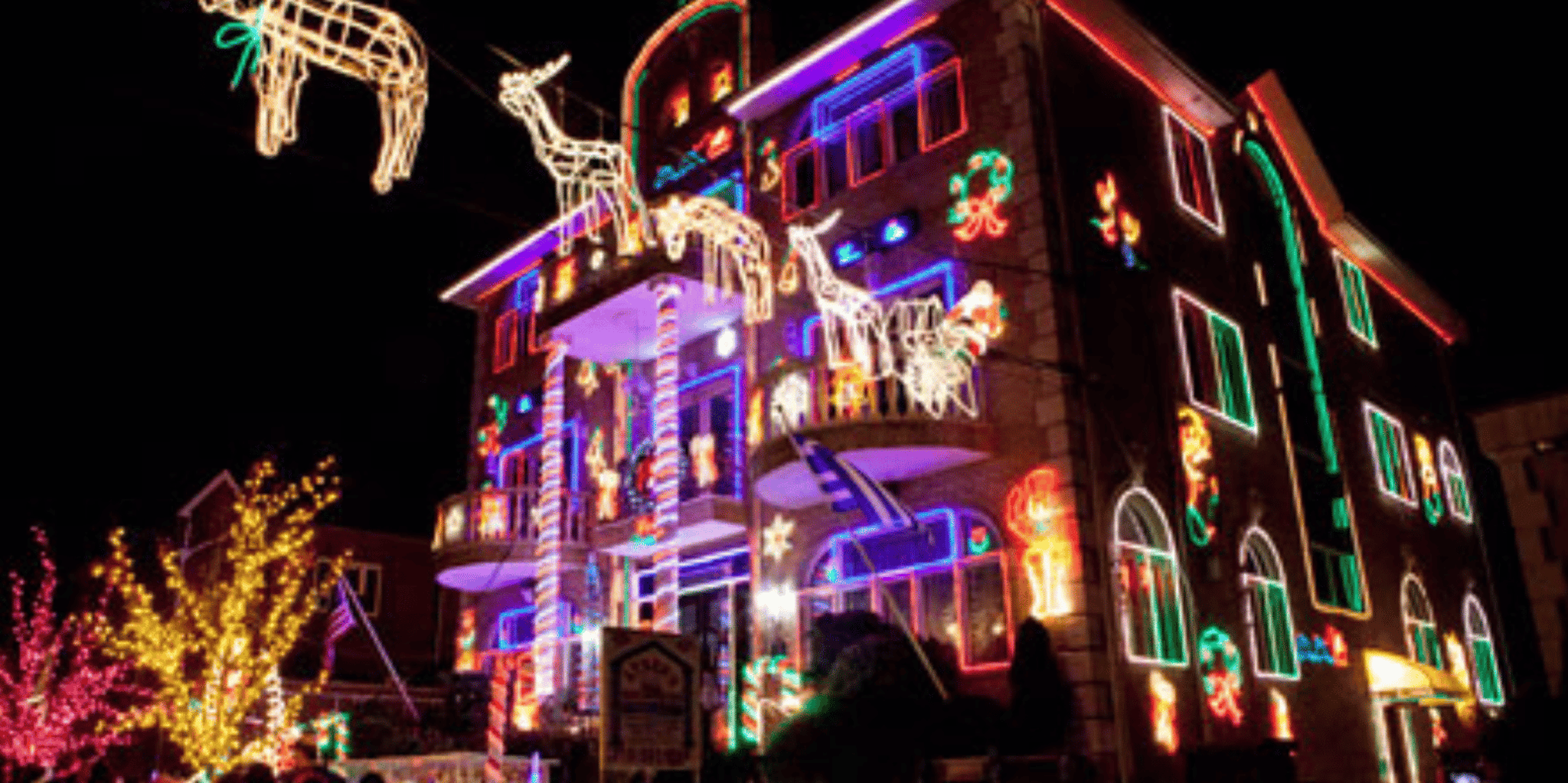 New York City Christmas Lights Tour - Image 3