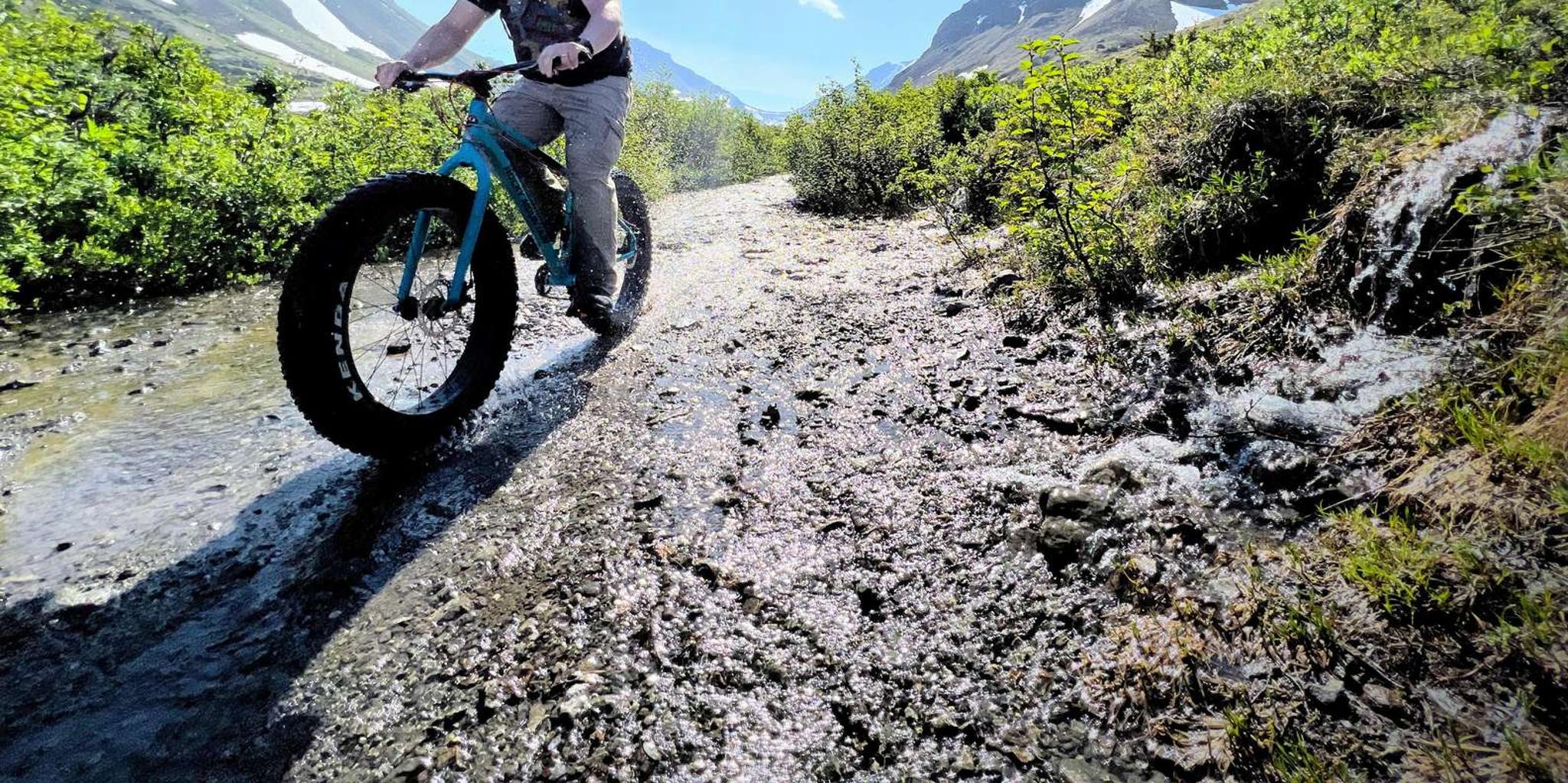 Anchorage Fat Tire Mountain Bike Tour - Image 4