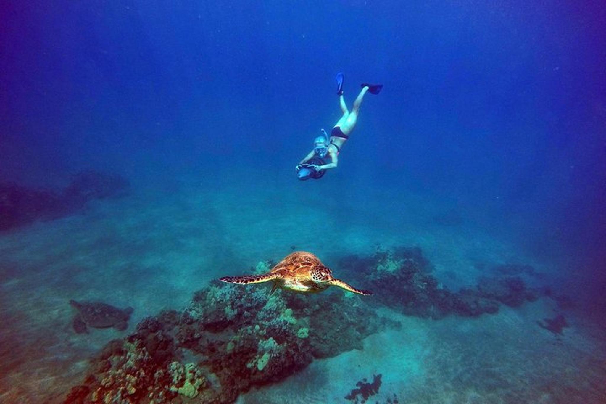 Maui Underwater Scooter Snorkeling Tour - Image 3
