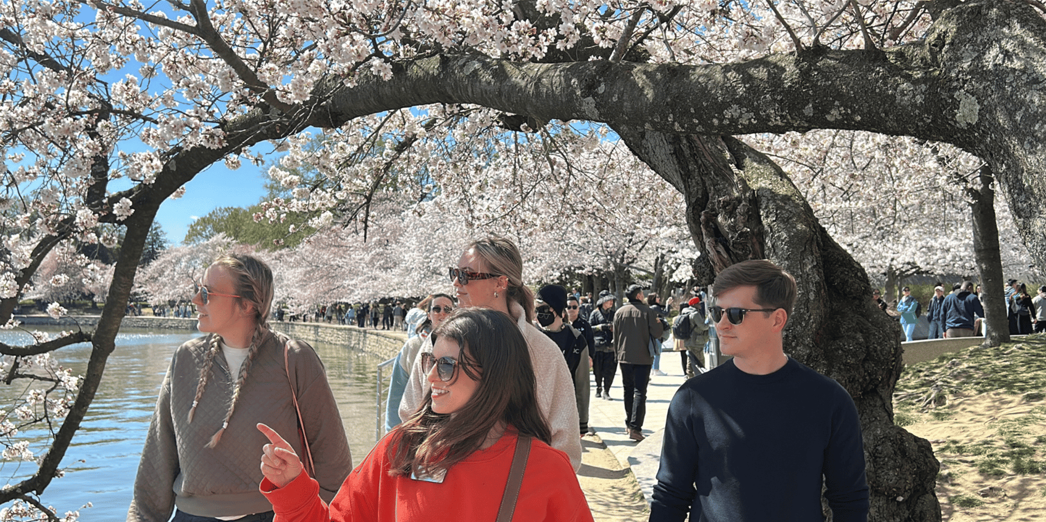 Washington DC Monument & National Mall Walking Tour - Image 2
