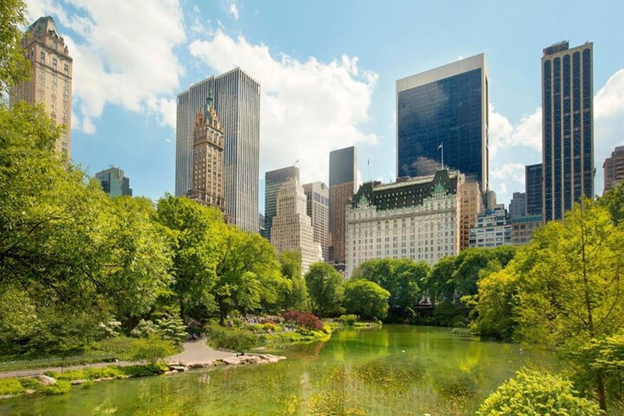 New York Central Park Carriage Tour 50 Min - Image 2