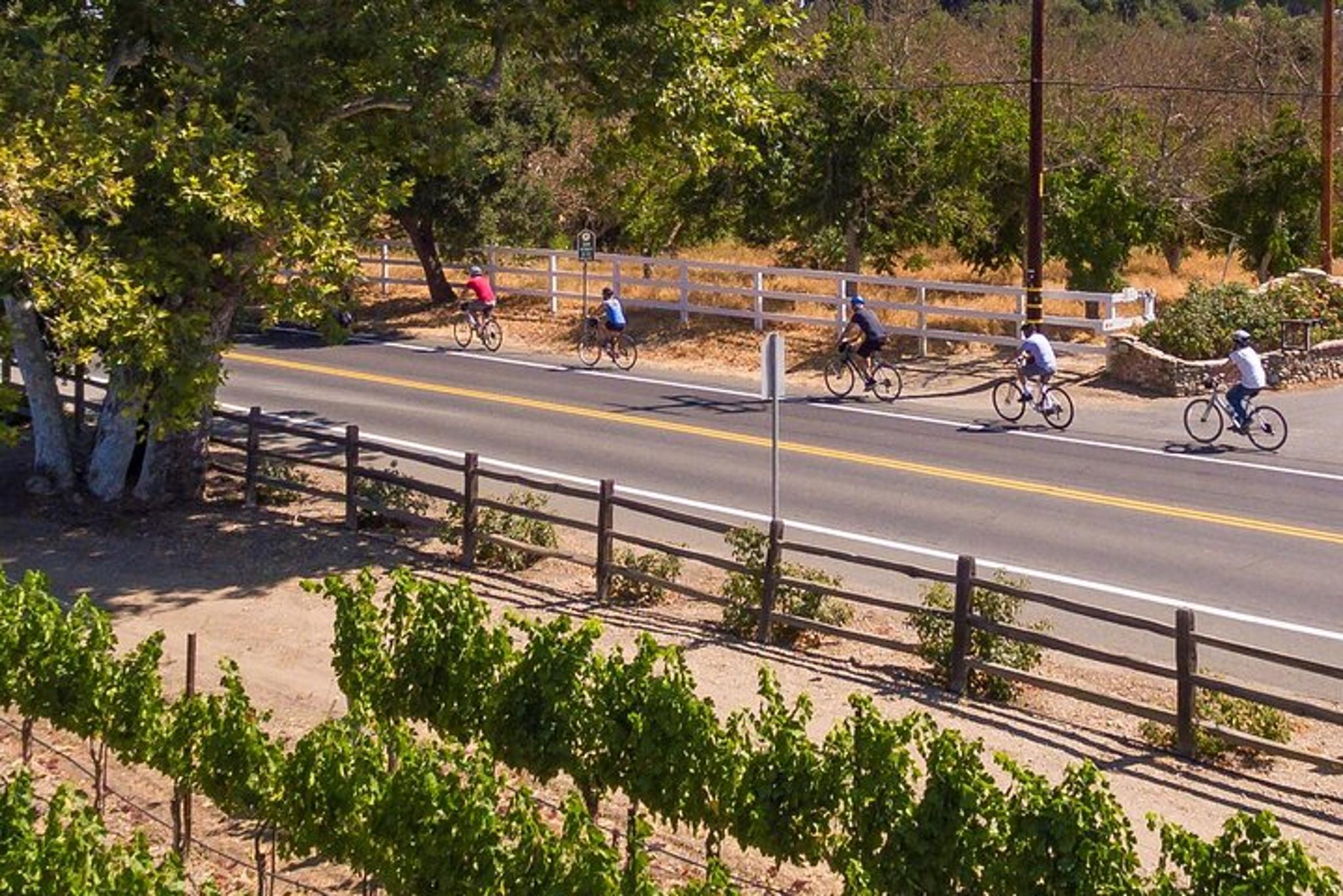 Santa Ynez Wine Country Bike Tour with Lunch - Image 4