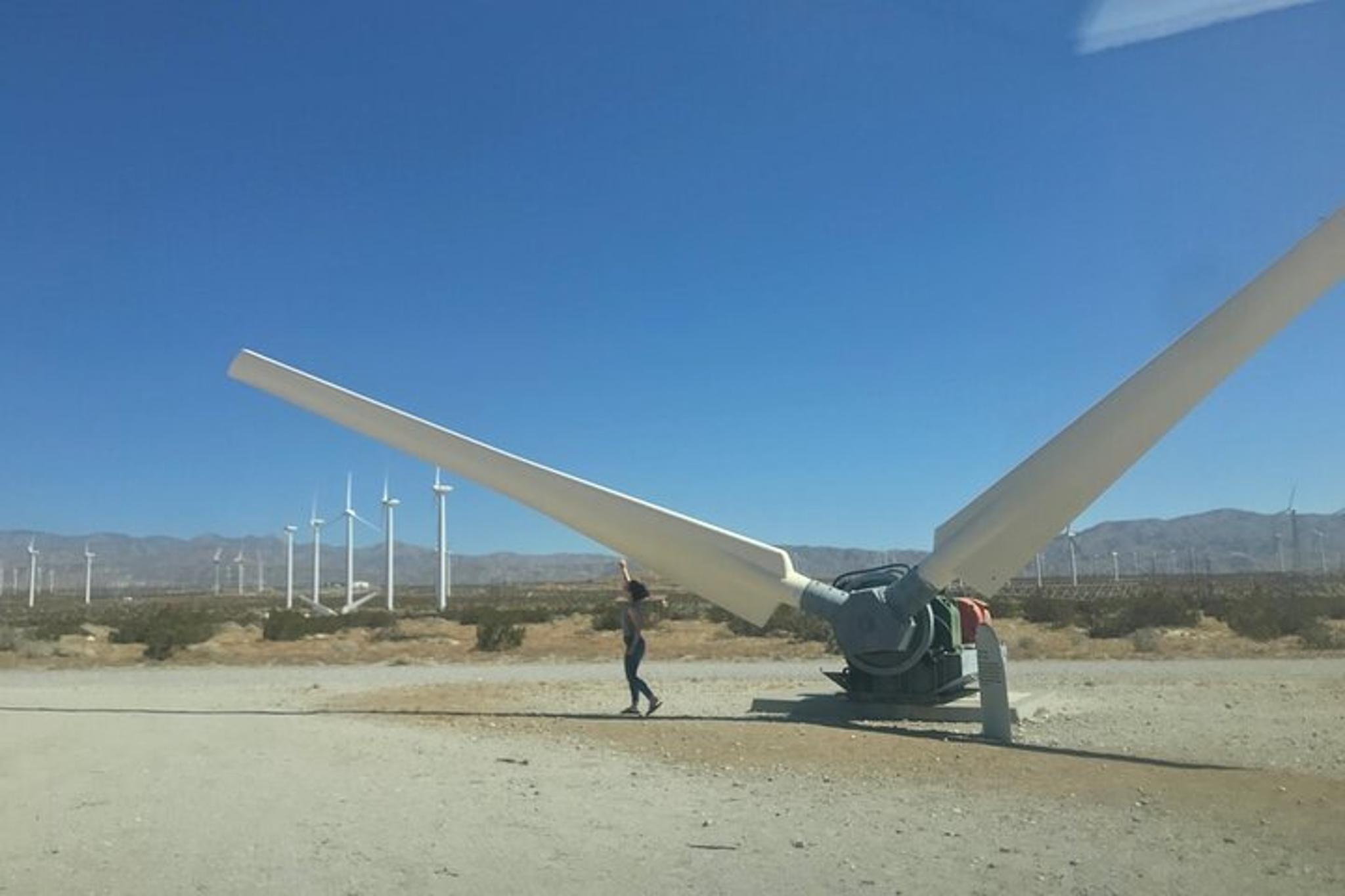 Palm Springs Windmill Tour - Image 5
