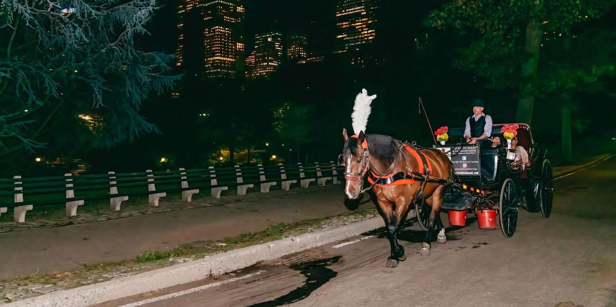 New York City Central Park Moonlight Horse Carriage Ride