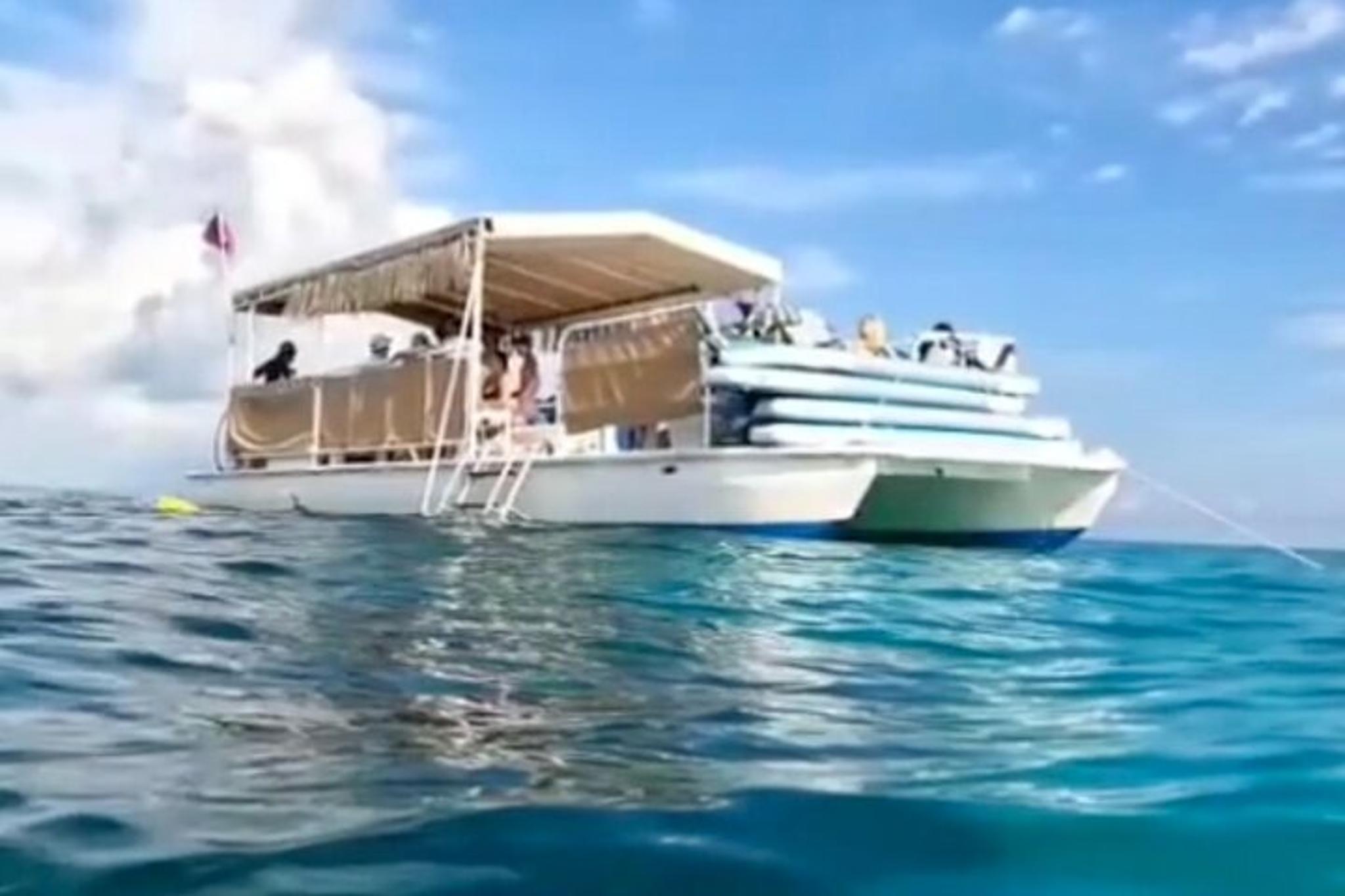 Islamorada Snorkeling Tour from Islander Hotel 2 hr - Image 5