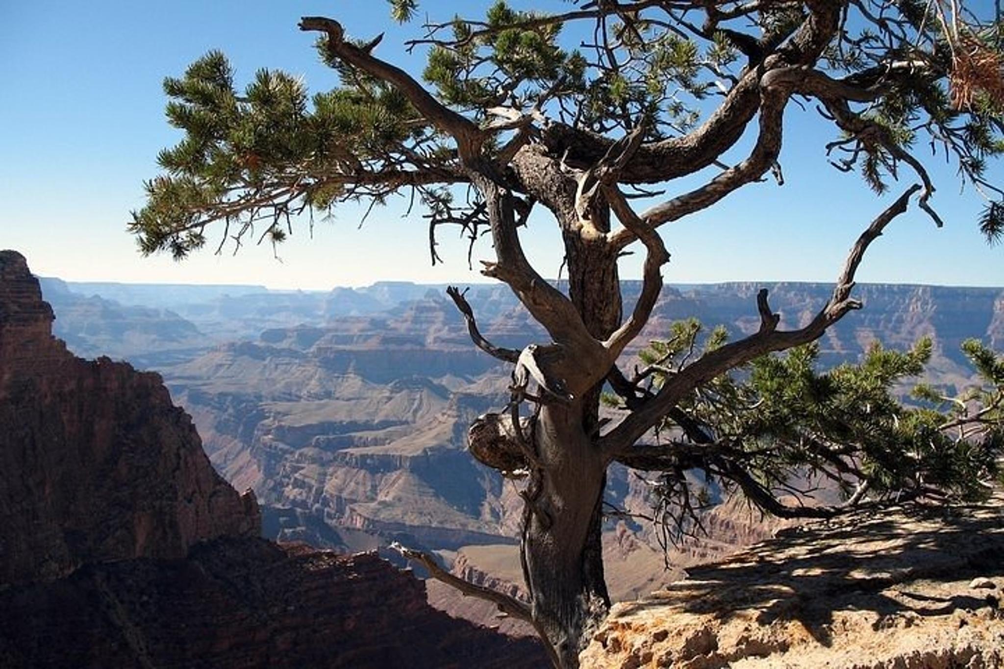 Flagstaff Grand Canyon South Rim Day Trip - Image 6