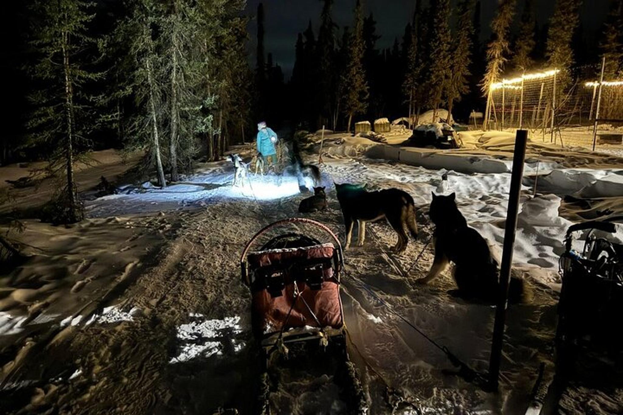 Fairbanks Dog Sledding and Northern Lights Combo - Image 6