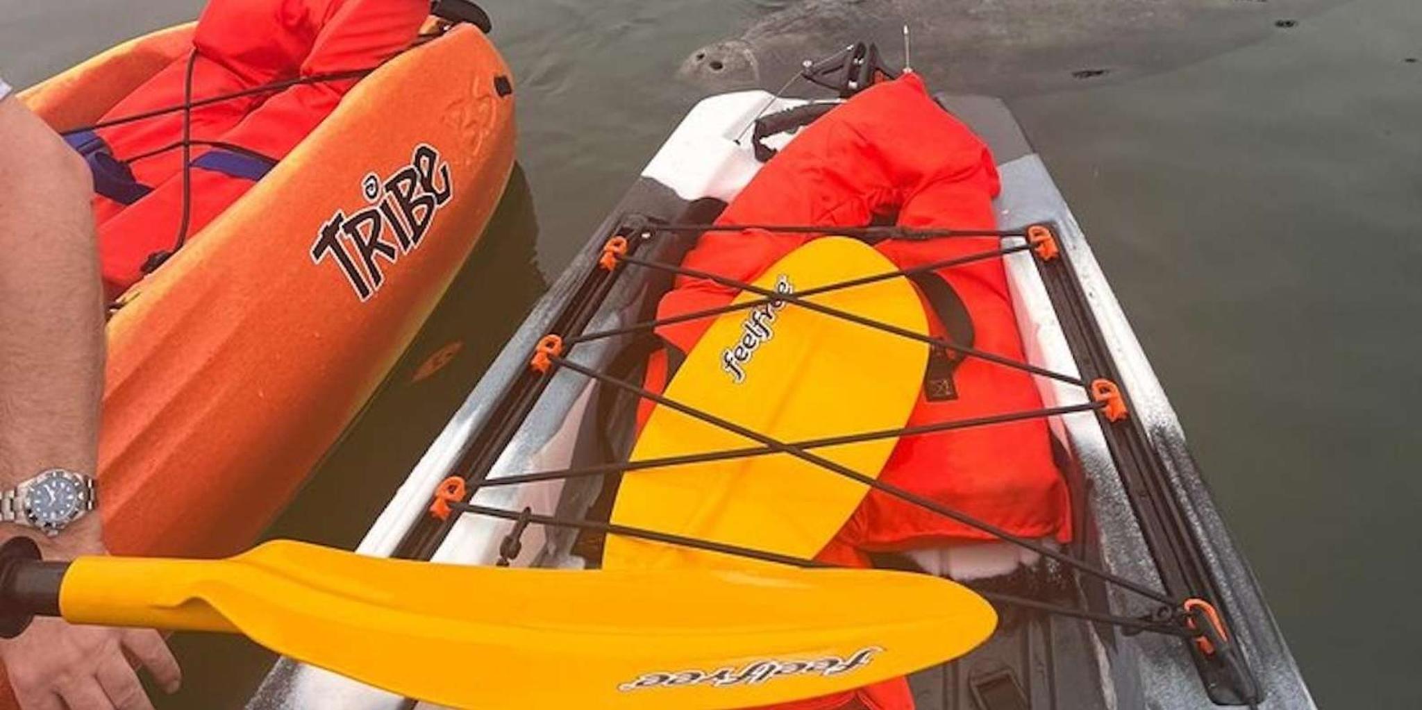 Crystal River Kayak Tour with Manatee Encounters 3 hr - Image 2