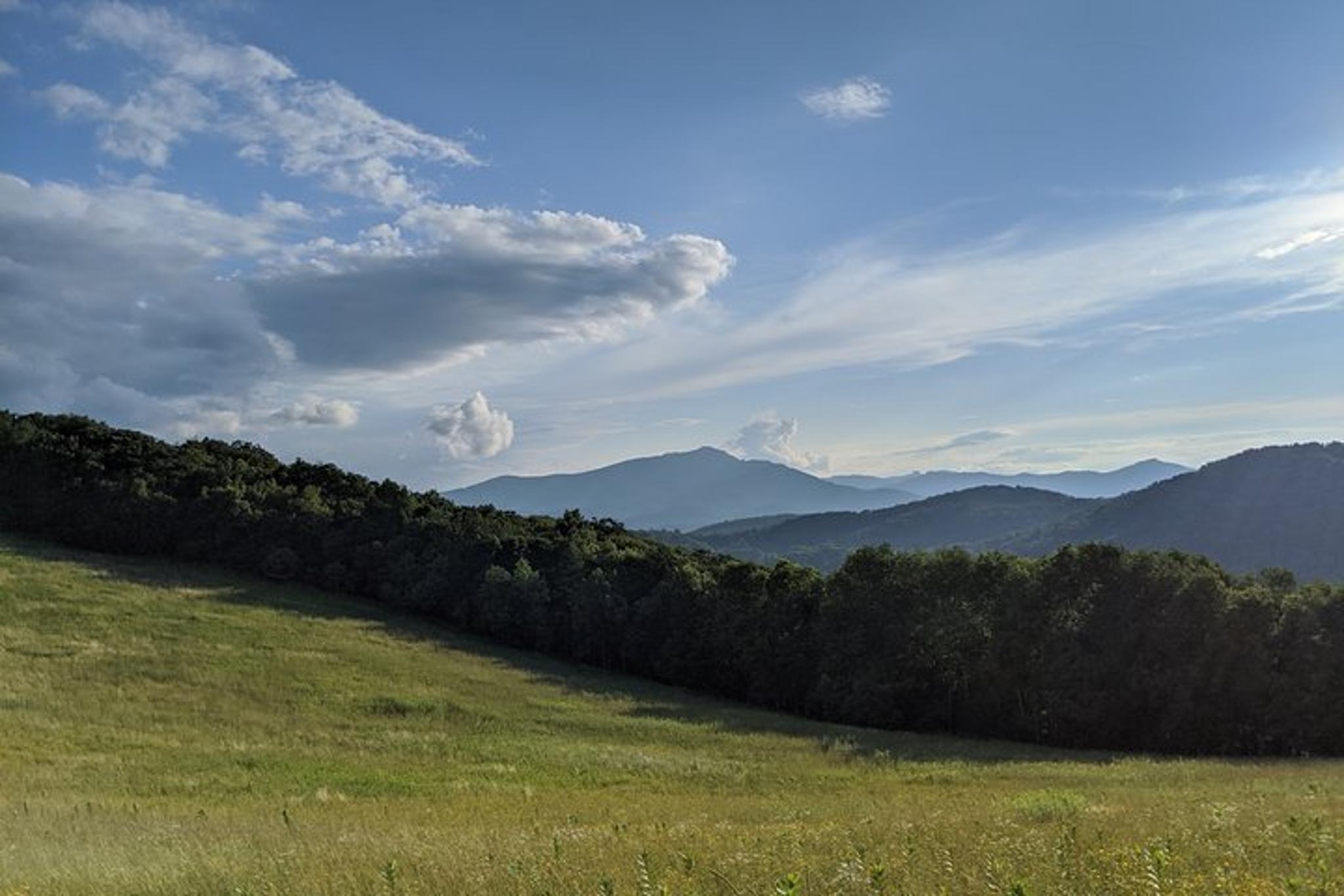 Blowing Rock Horse and Carriage Ride - Image 2