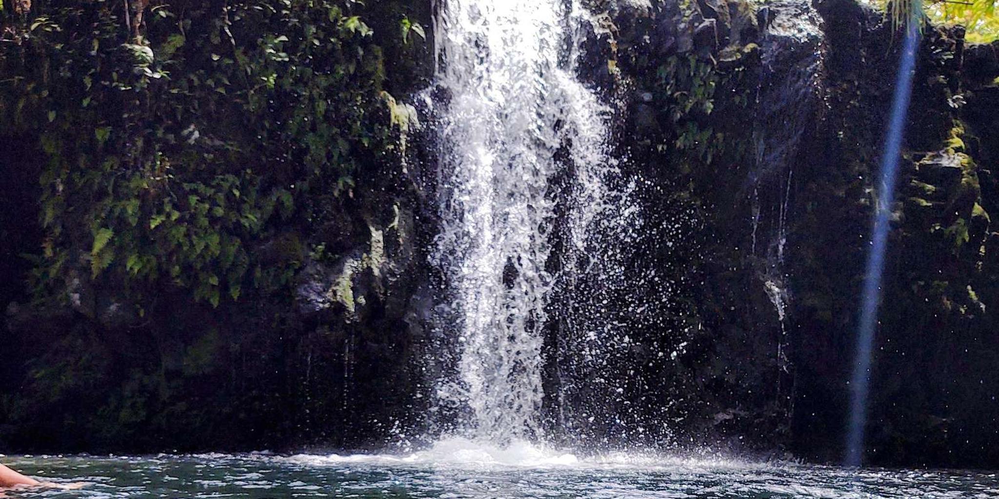 Maui Black Sand Beach and Turtles Tour - Image 3
