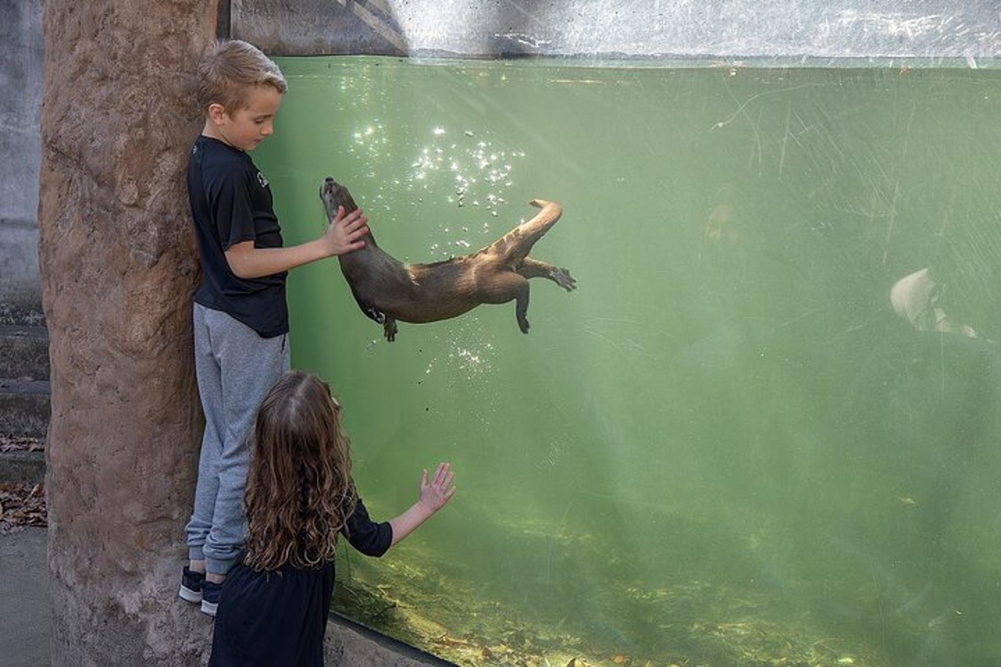 Virginia Living Museum Adventure - Image 6