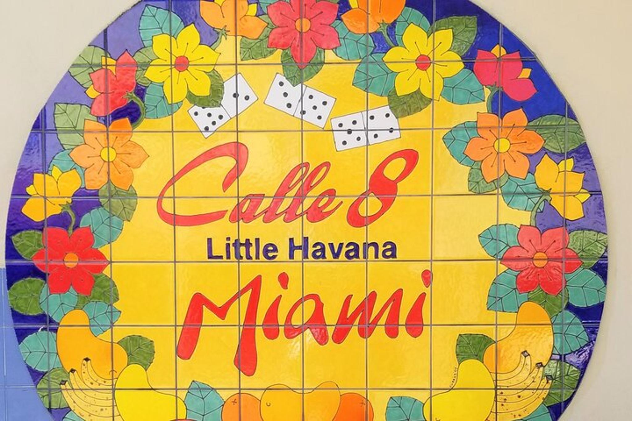 Miami Sightseeing Tour in a Minivan - Image 2