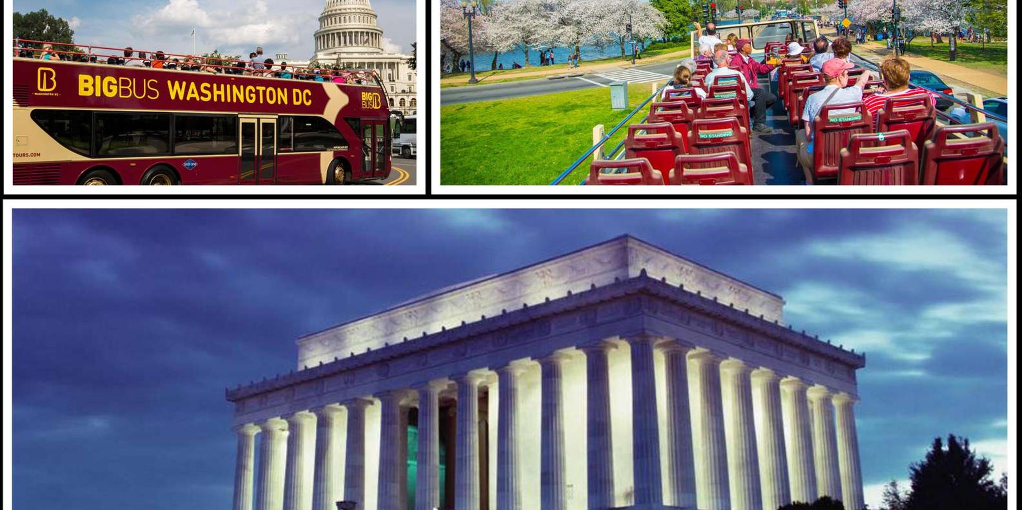 Washington DC Hop-on Hop-off Bus Tour with Arlington Walking and Night Tour