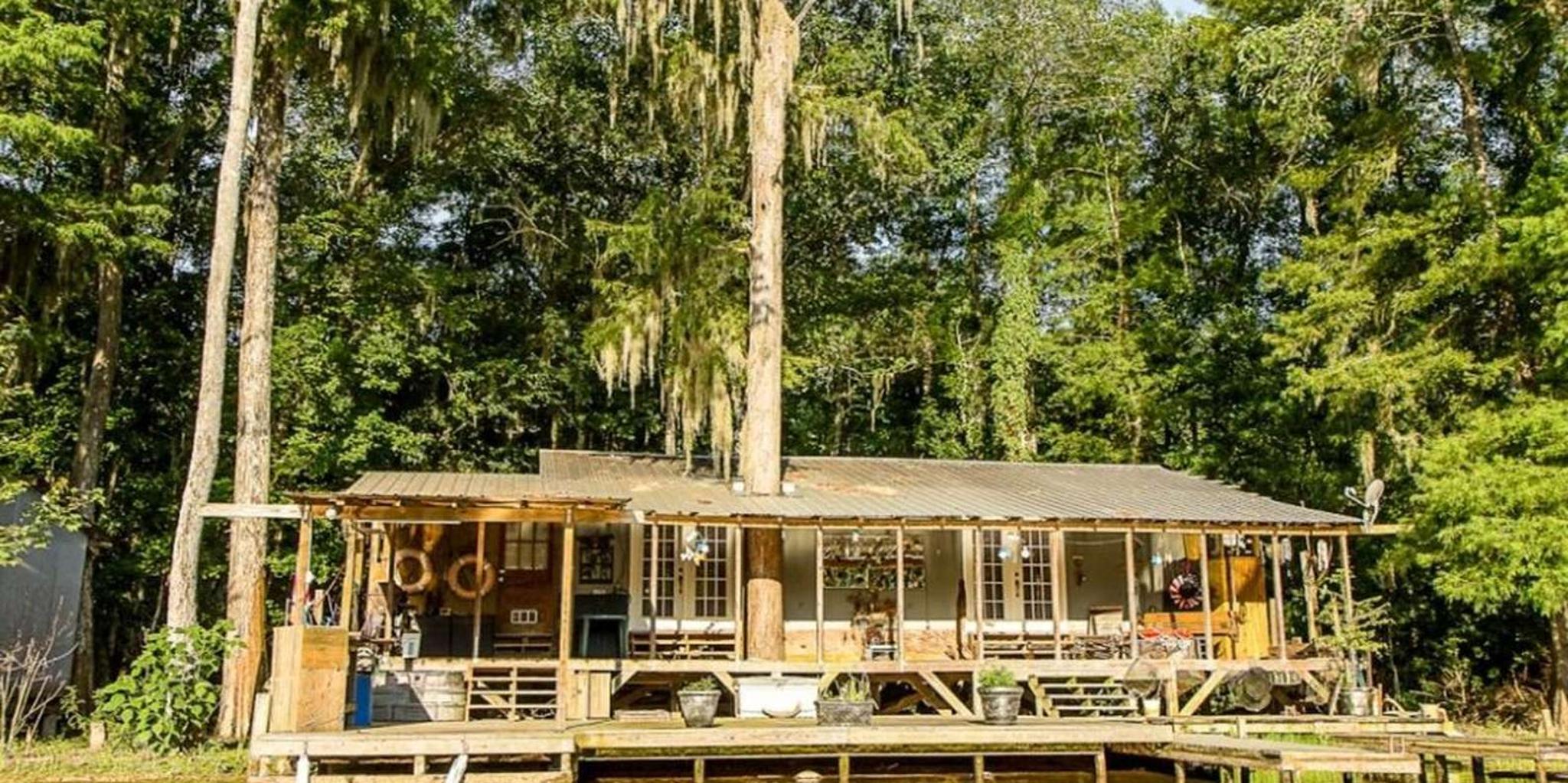 New Orleans Honey Island Swamp Tour - Image 3