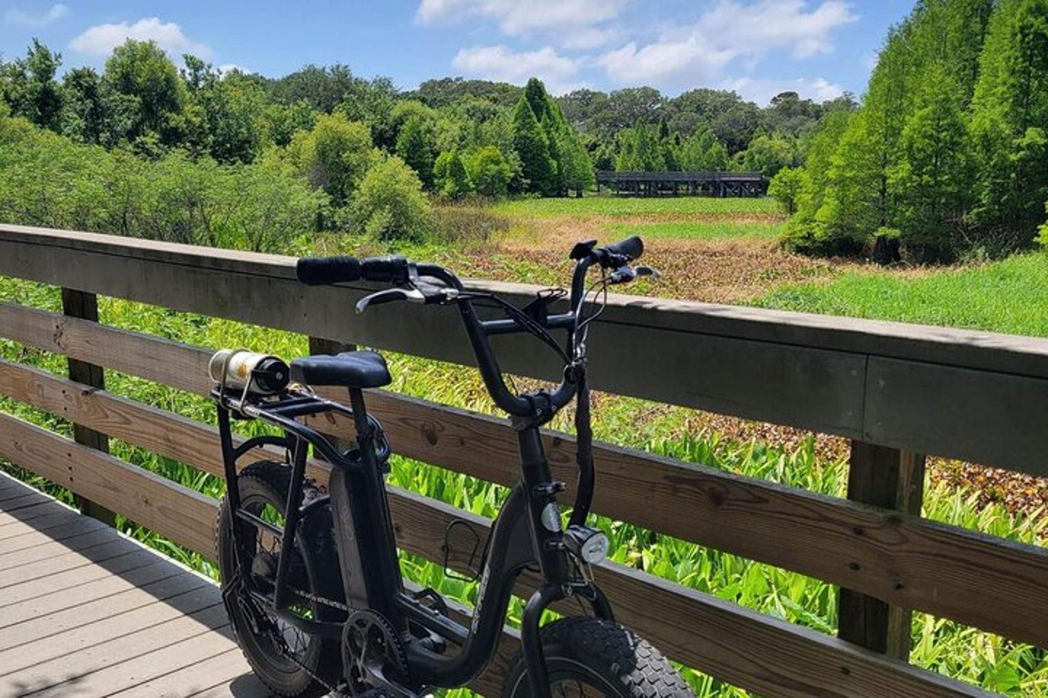 Safety Harbor E-Bike Adventure with Dessert 2 hr - Image 3