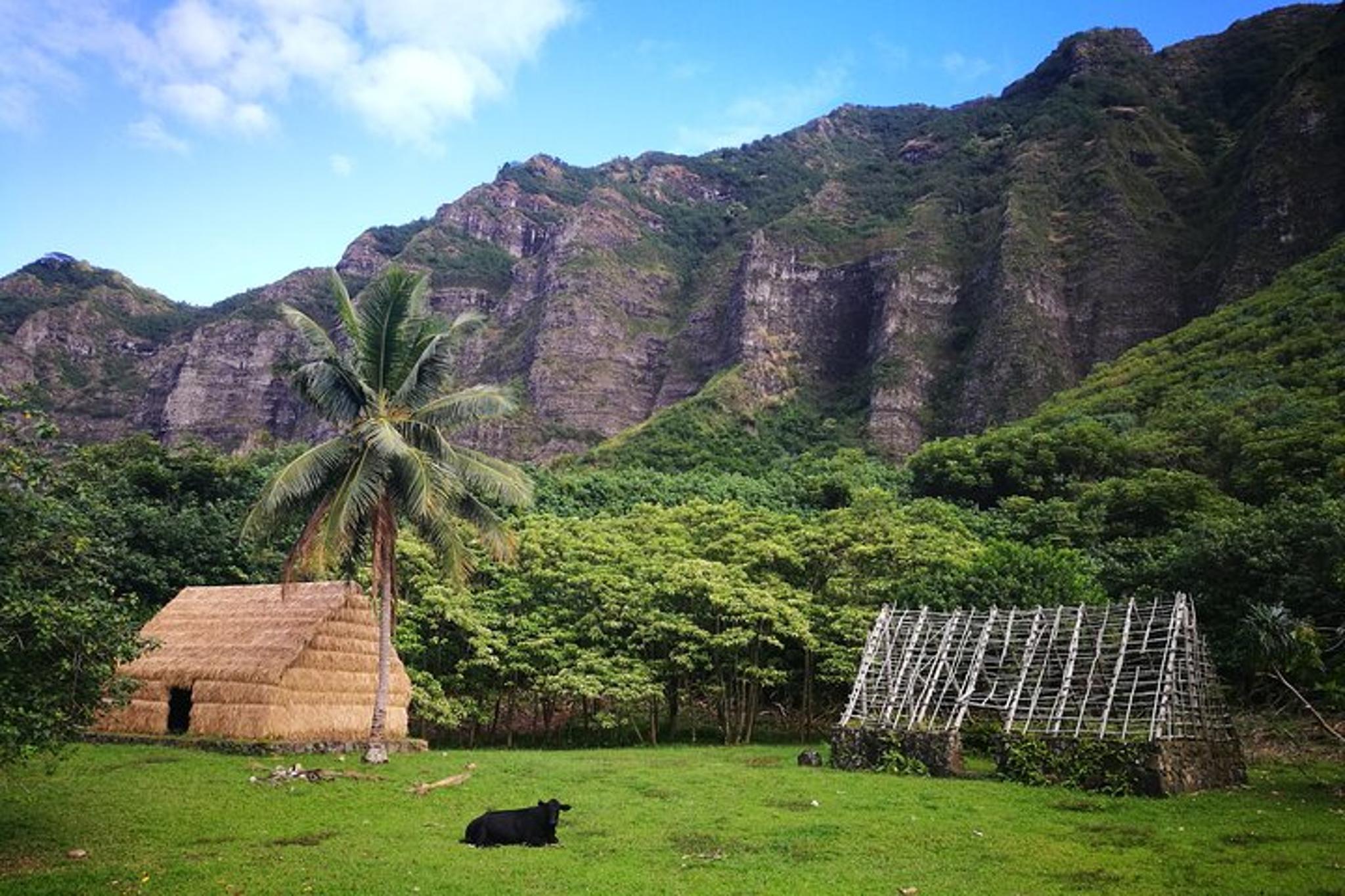Waikiki to Kualoa Ranch Private Transfer - Image 1