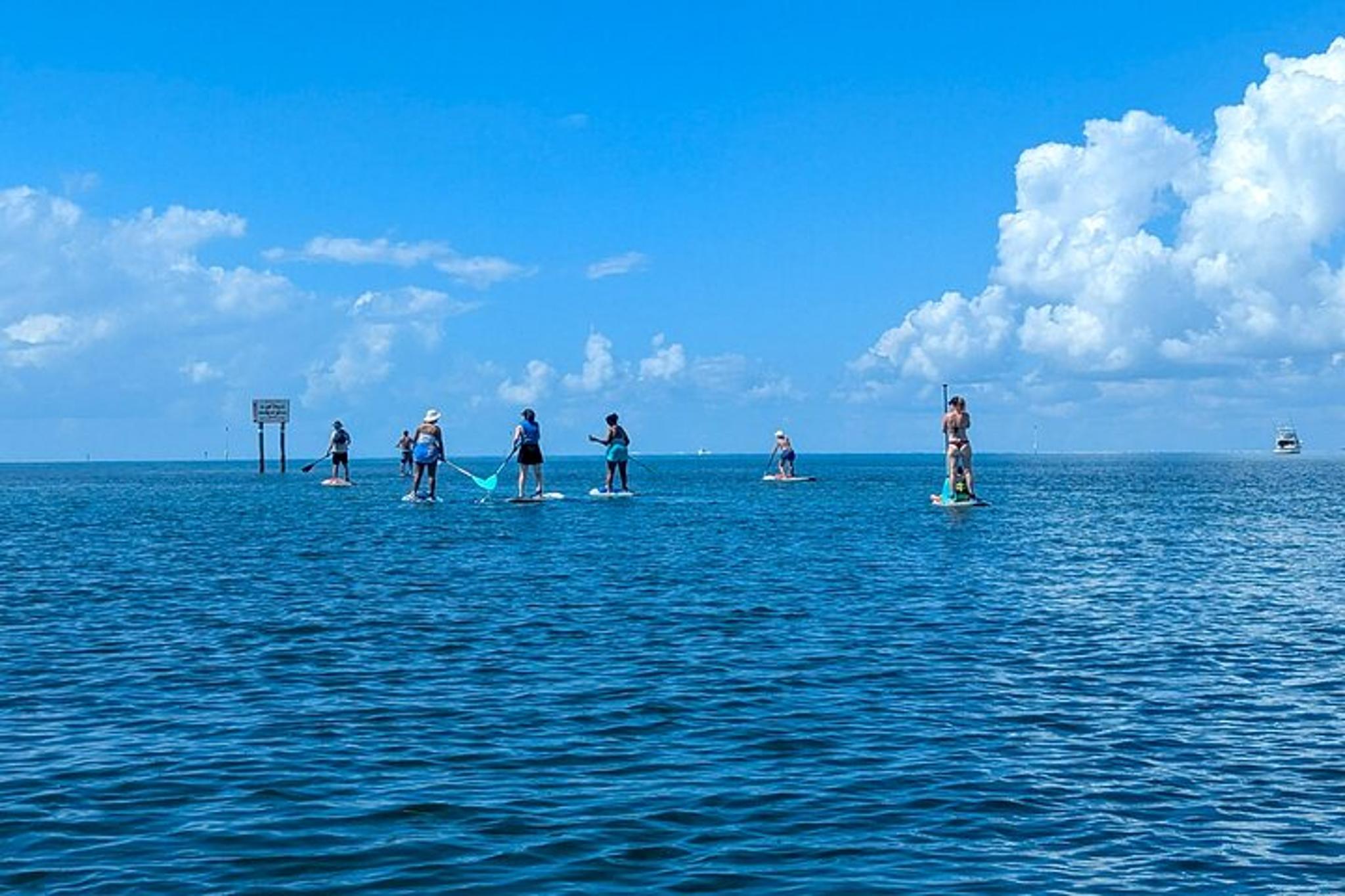 Miami Biscayne Bay Paddle Tour - Image 5