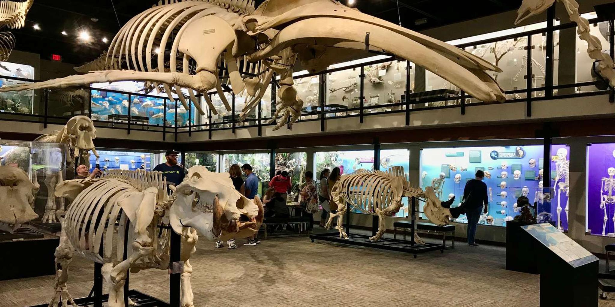 Oklahoma City Museum of Osteology Ticket