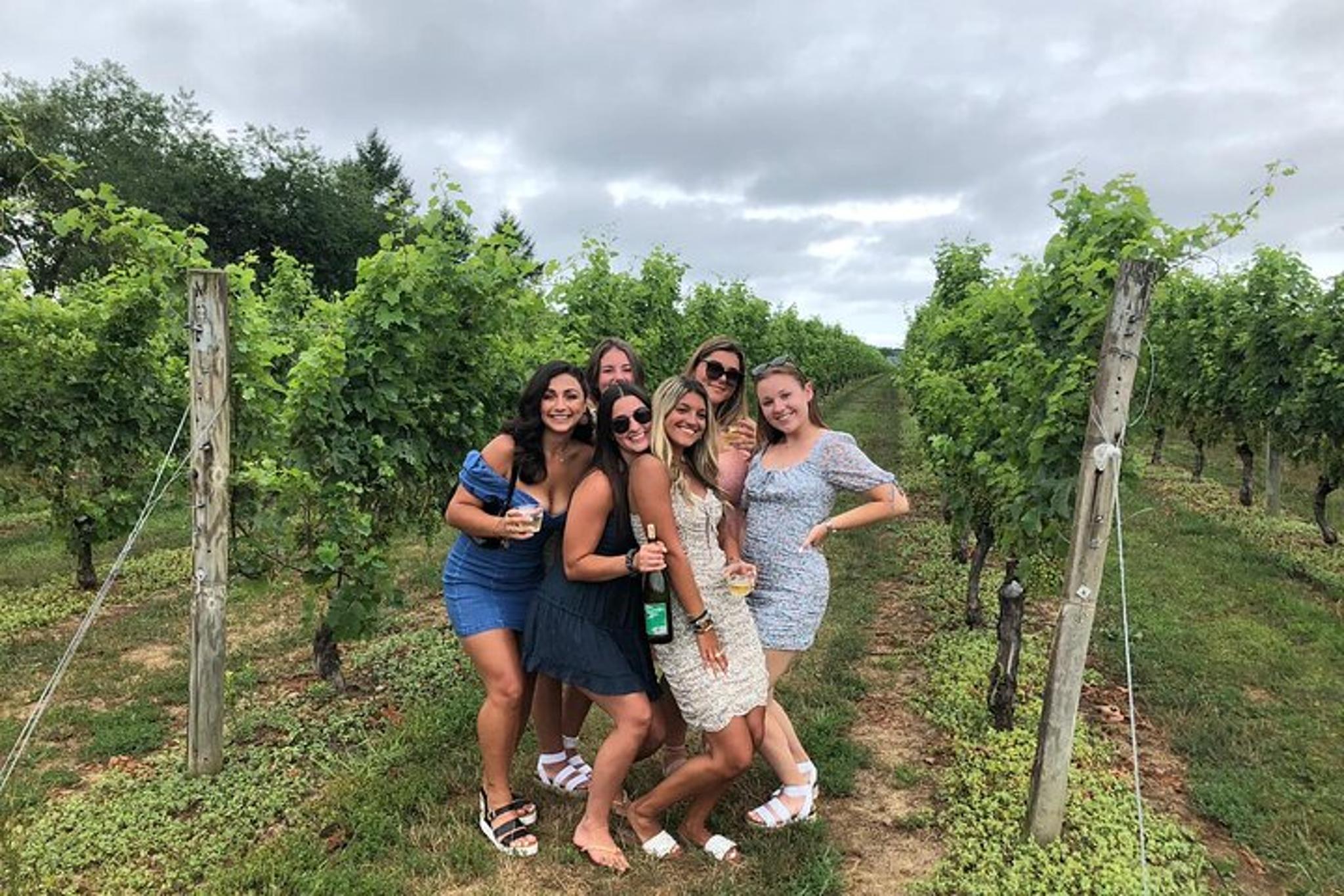 New York City Long Island Wine Tour - Image 2