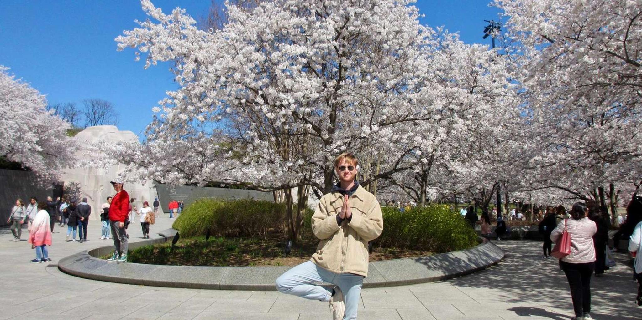 Washington, DC Cherry Blossom Walking Tour - Image 2