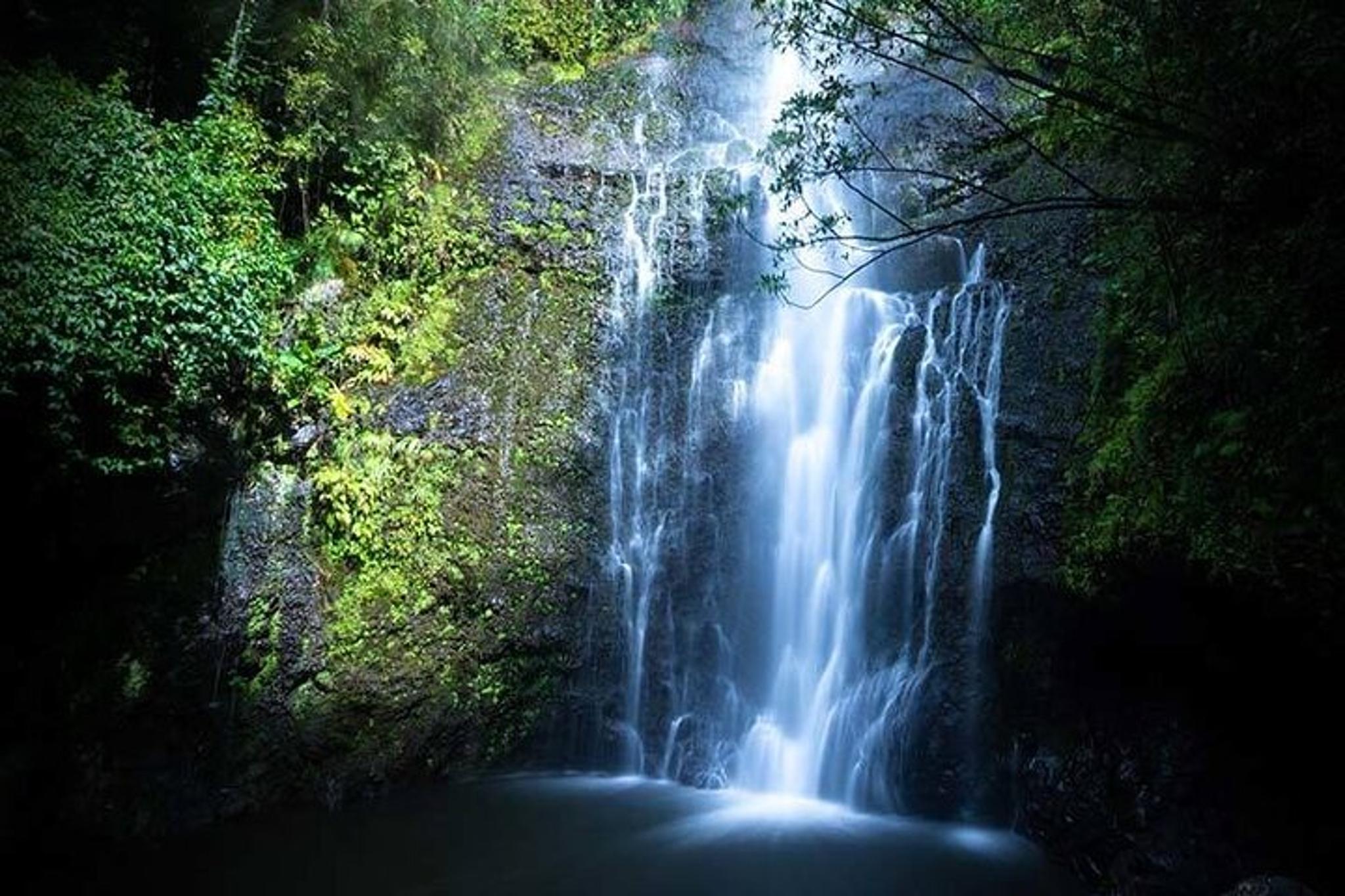 Maui Waterfall, Beach & Hana Tour - Image 4