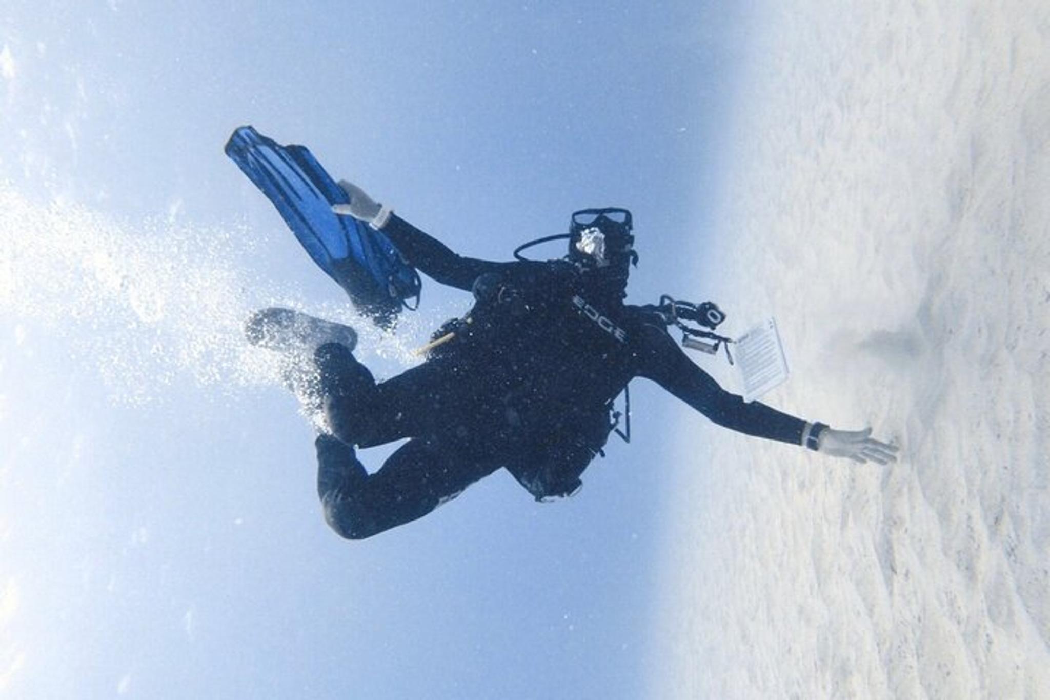 Kona Shore Dive - Image 5