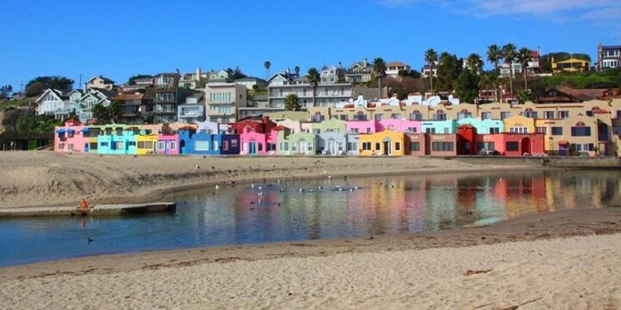 San Francisco Redwood Forest & Santa Cruz Day Trip - Image 4