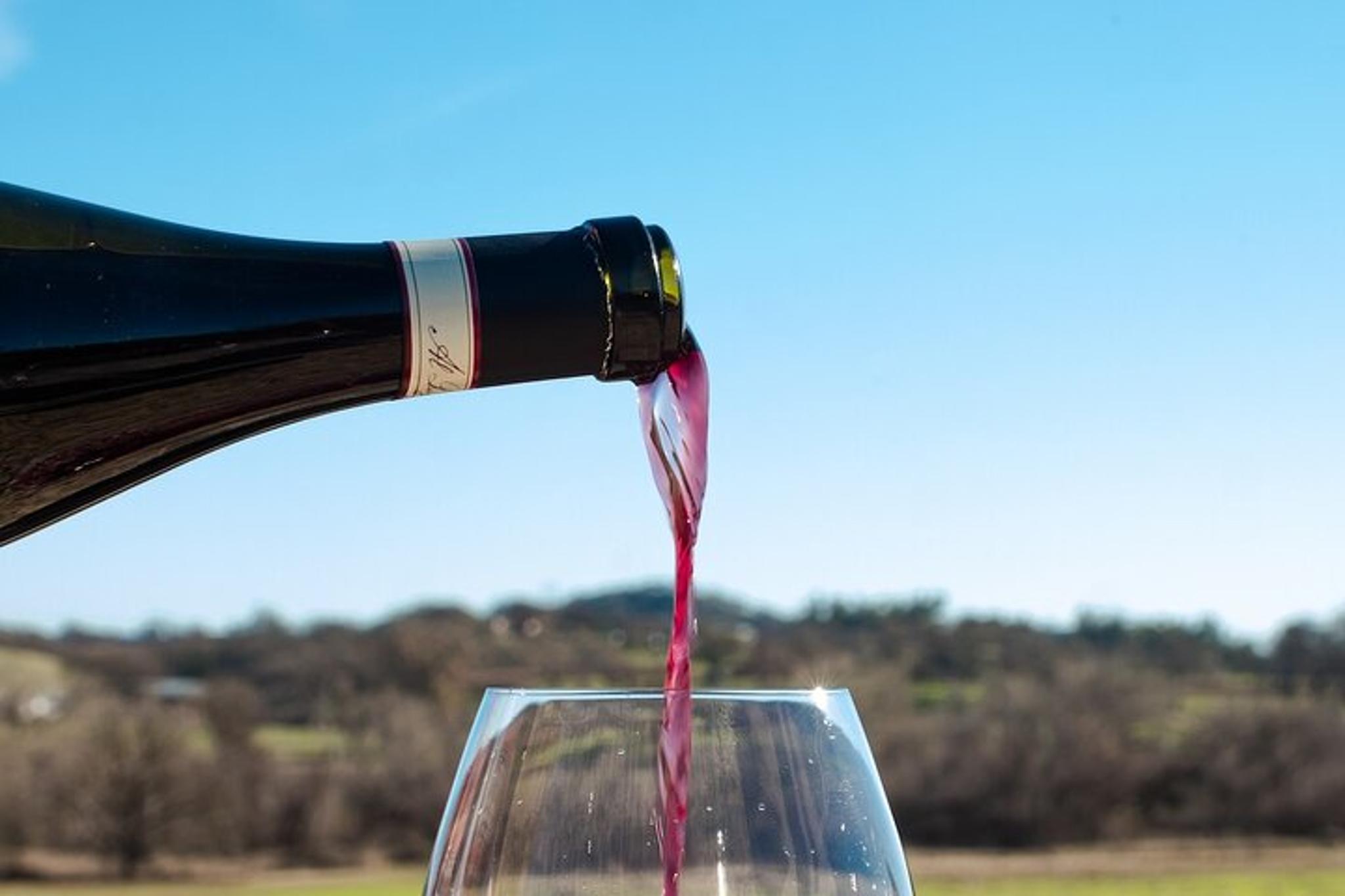 Paso Robles Wine Tasting Aria Flight 90 Min - Image 5