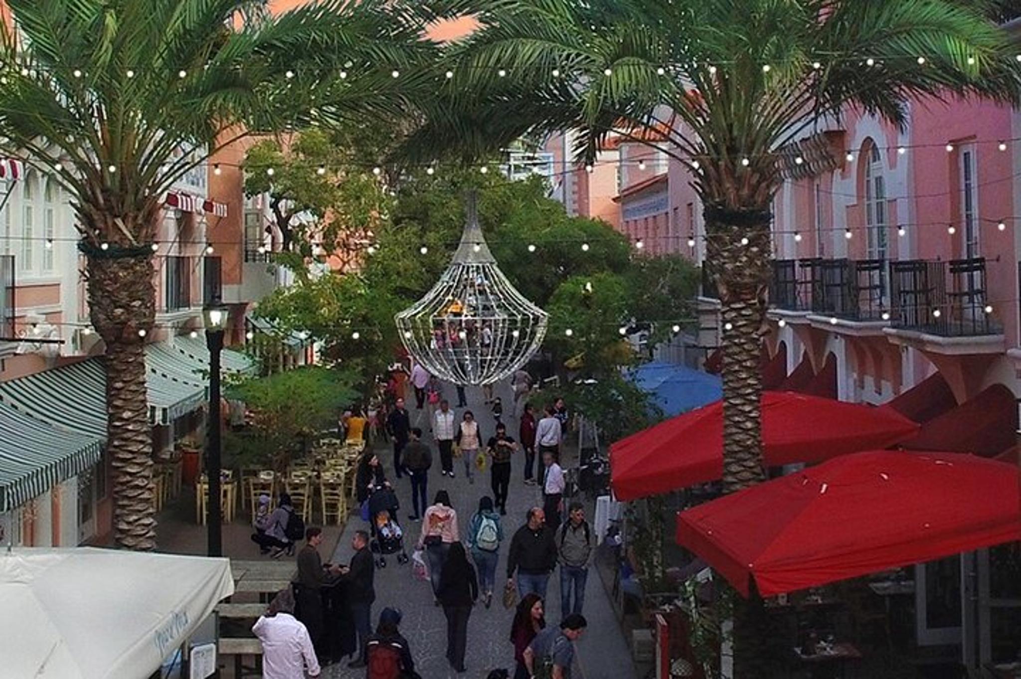 Miami Private Tour - Image 5