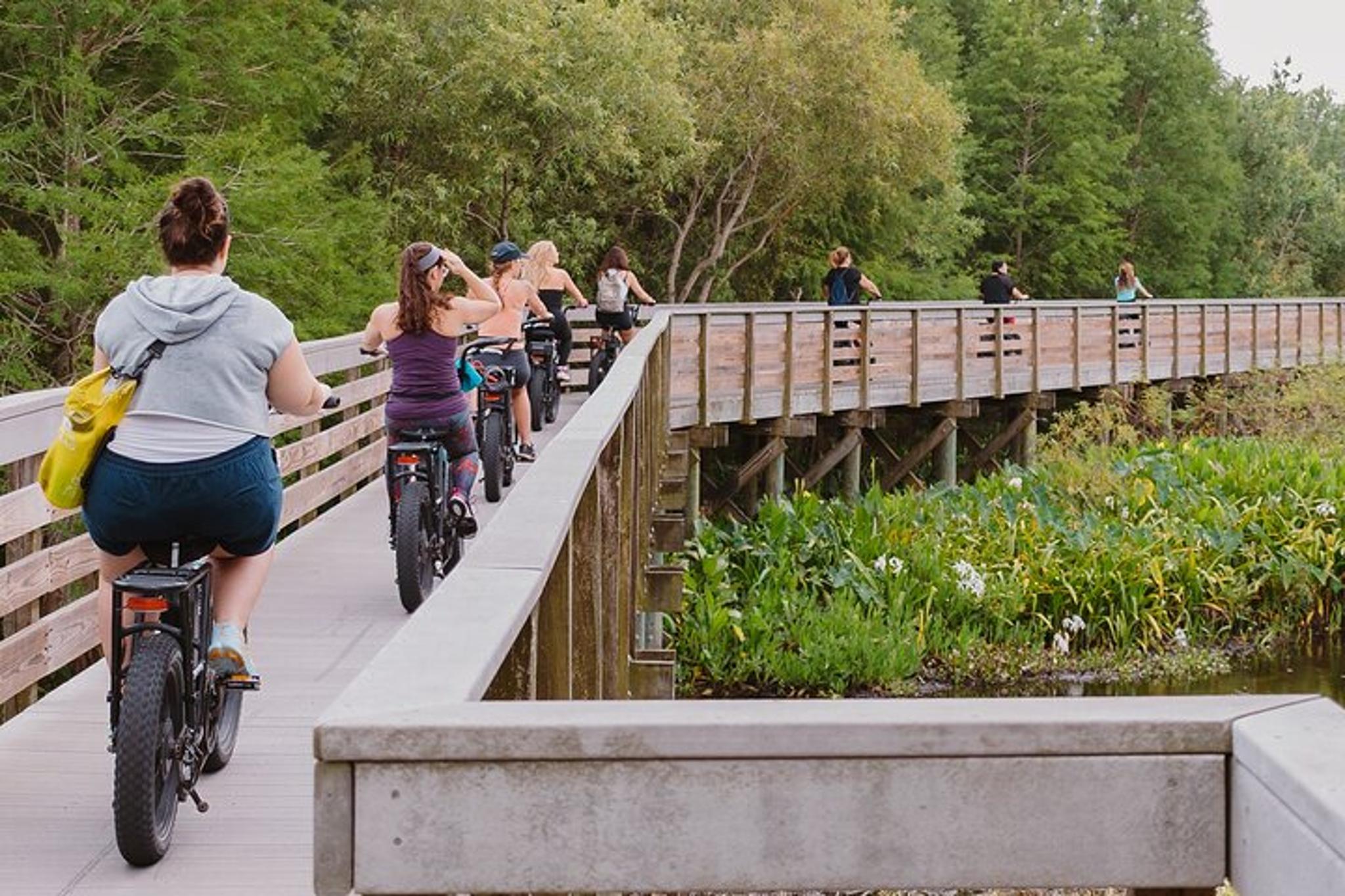 Safety Harbor E-Bike Adventure with Dessert 2 hr