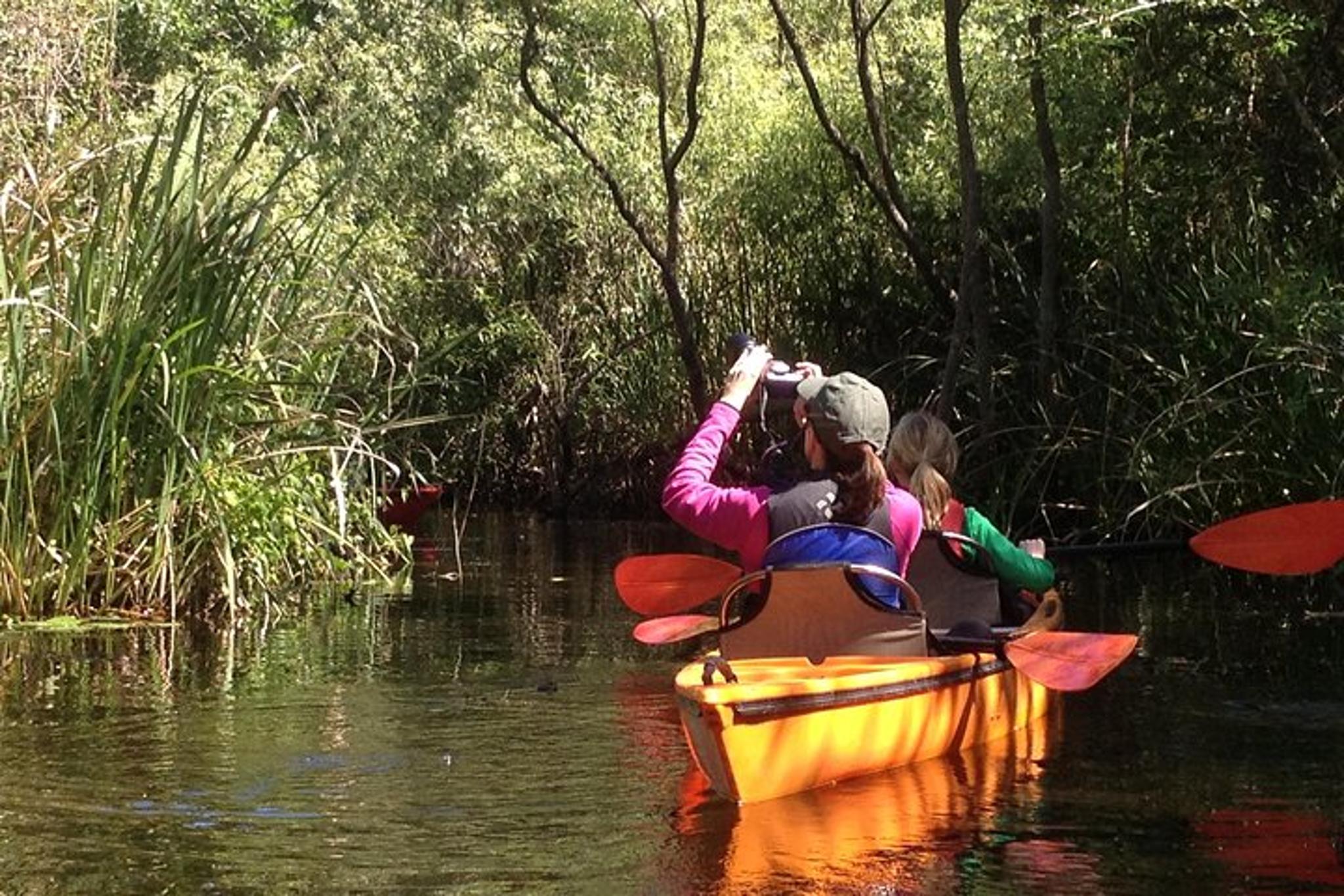 Everglades Kayak Safari Through Mangrove Tunnels - Image 4