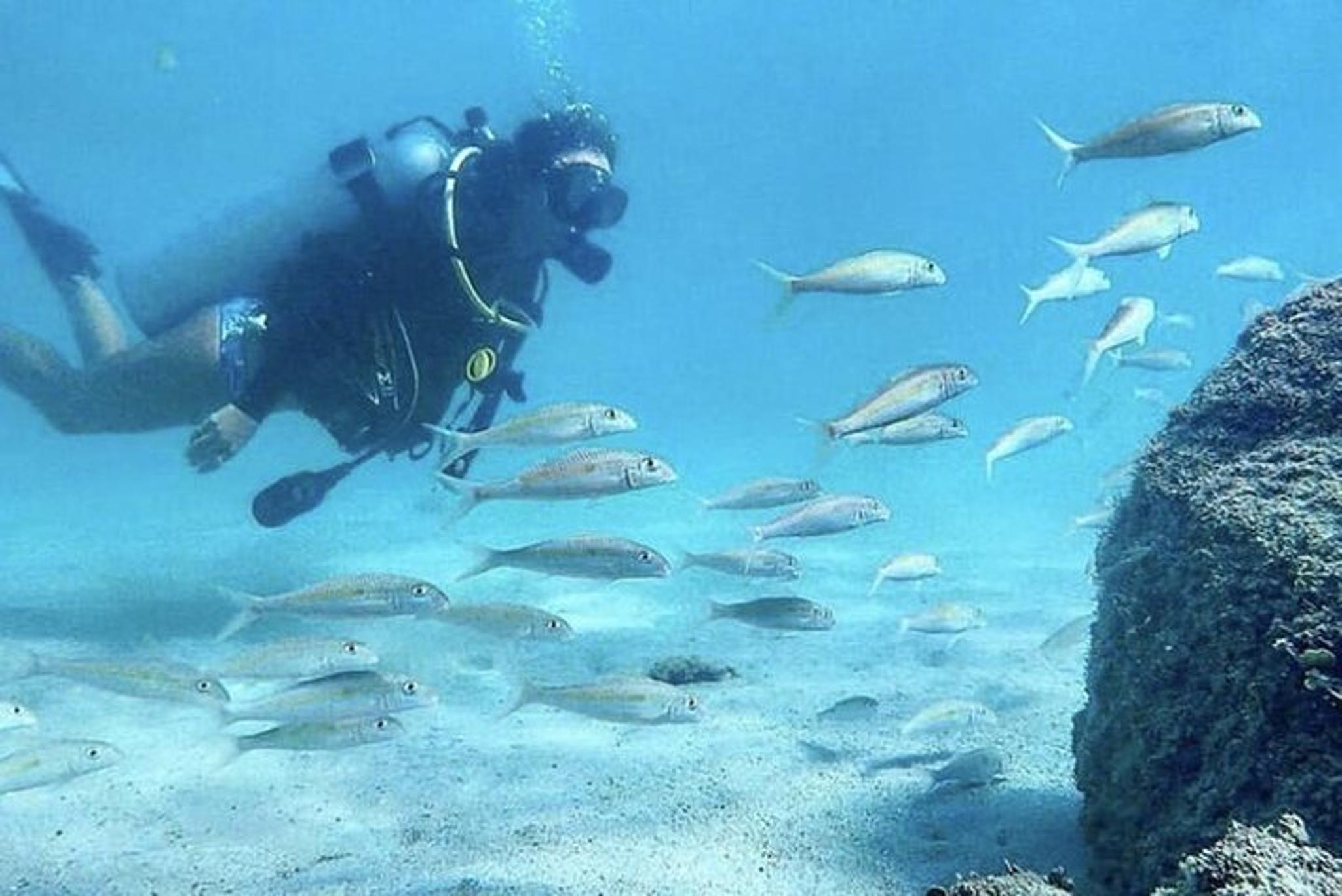 West Palm Beach Scuba Diving with Turtles 90 min - Image 5