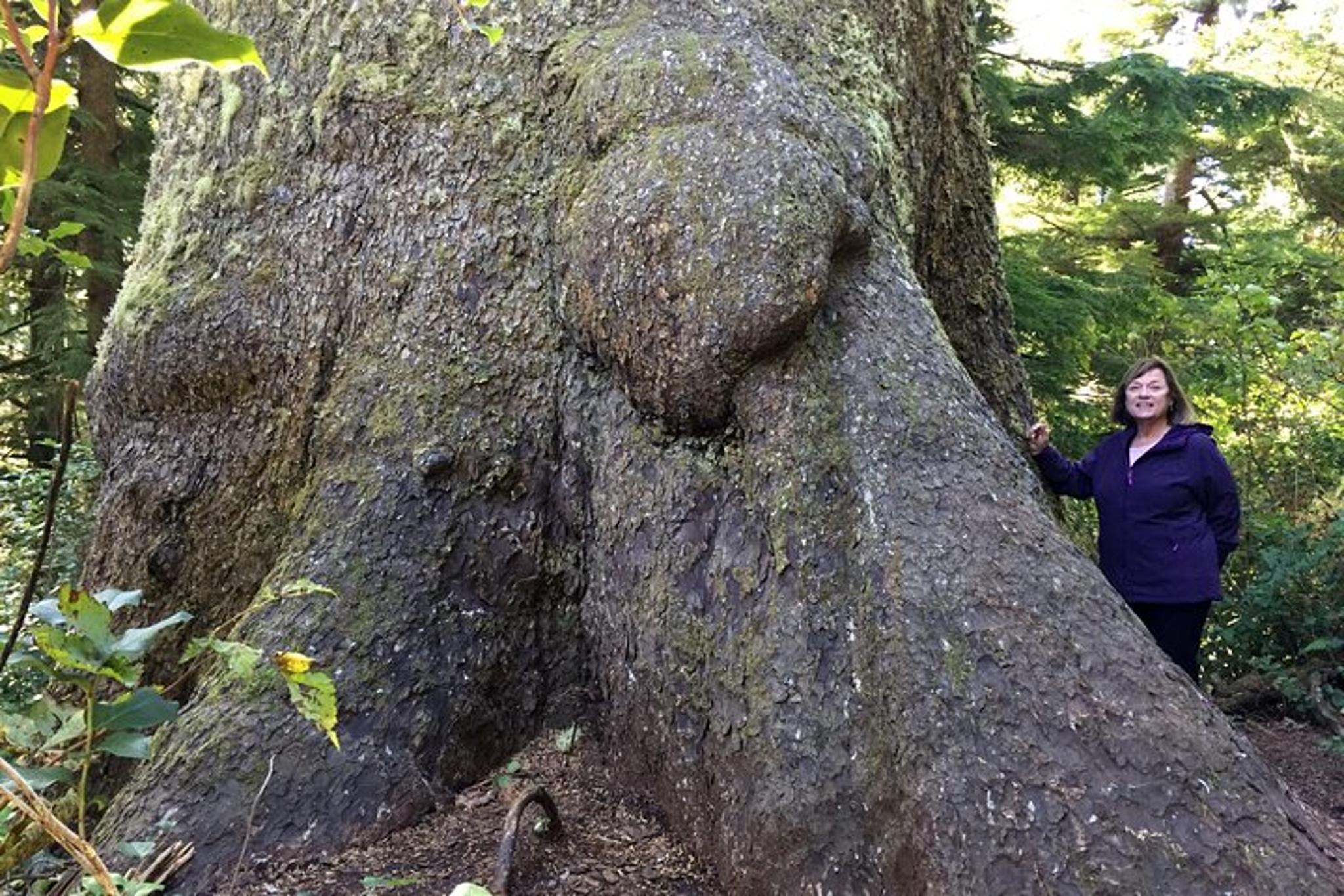 Portland Northern Oregon Coast Day Trip - Image 4